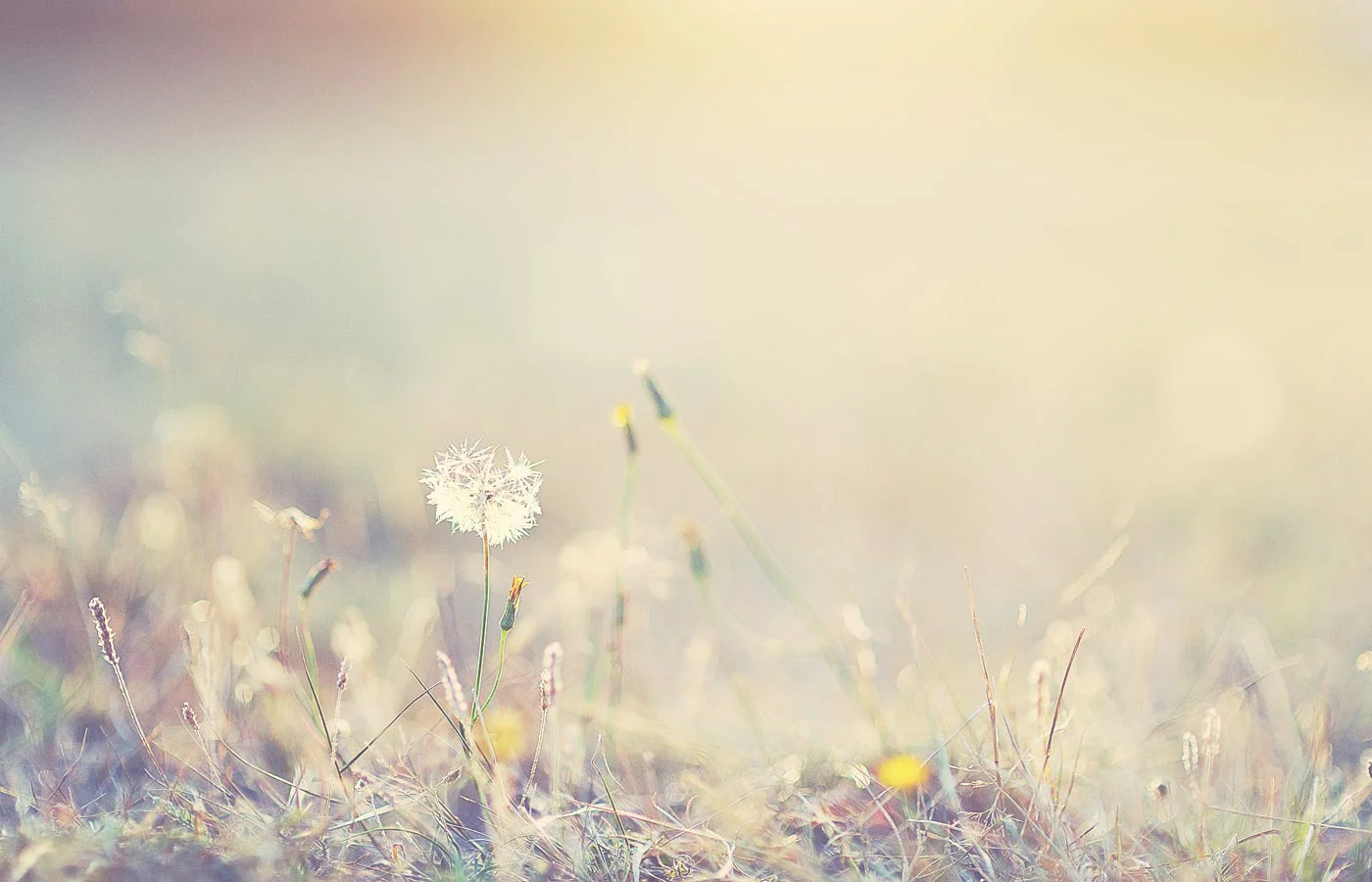 background3.jpg