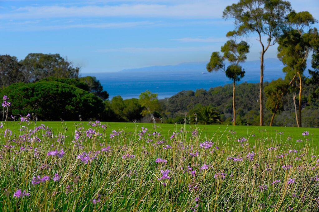 Palos Verdes Golf Club