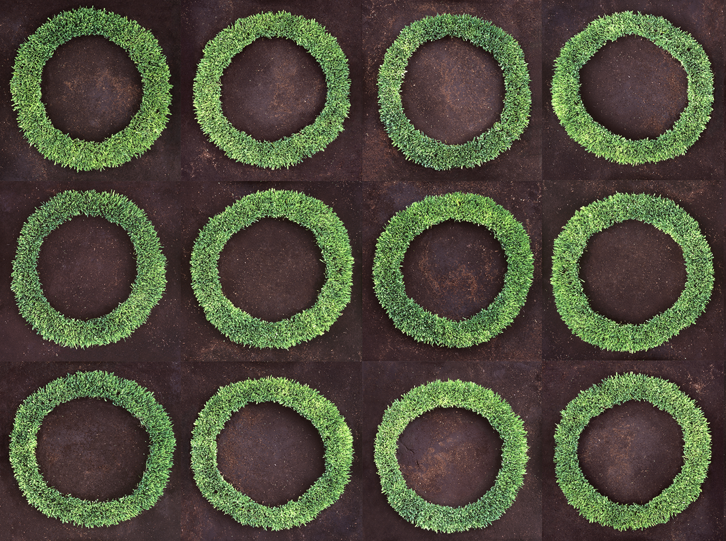  A Hundred Circles, 2008  Digital Prints Mounted on Diasec  96” x 128”    Cien Círculos, 2008  Impresión Digital Montada en Acrílico por Emulsión (Diasec)  244 cm x 325 cm 