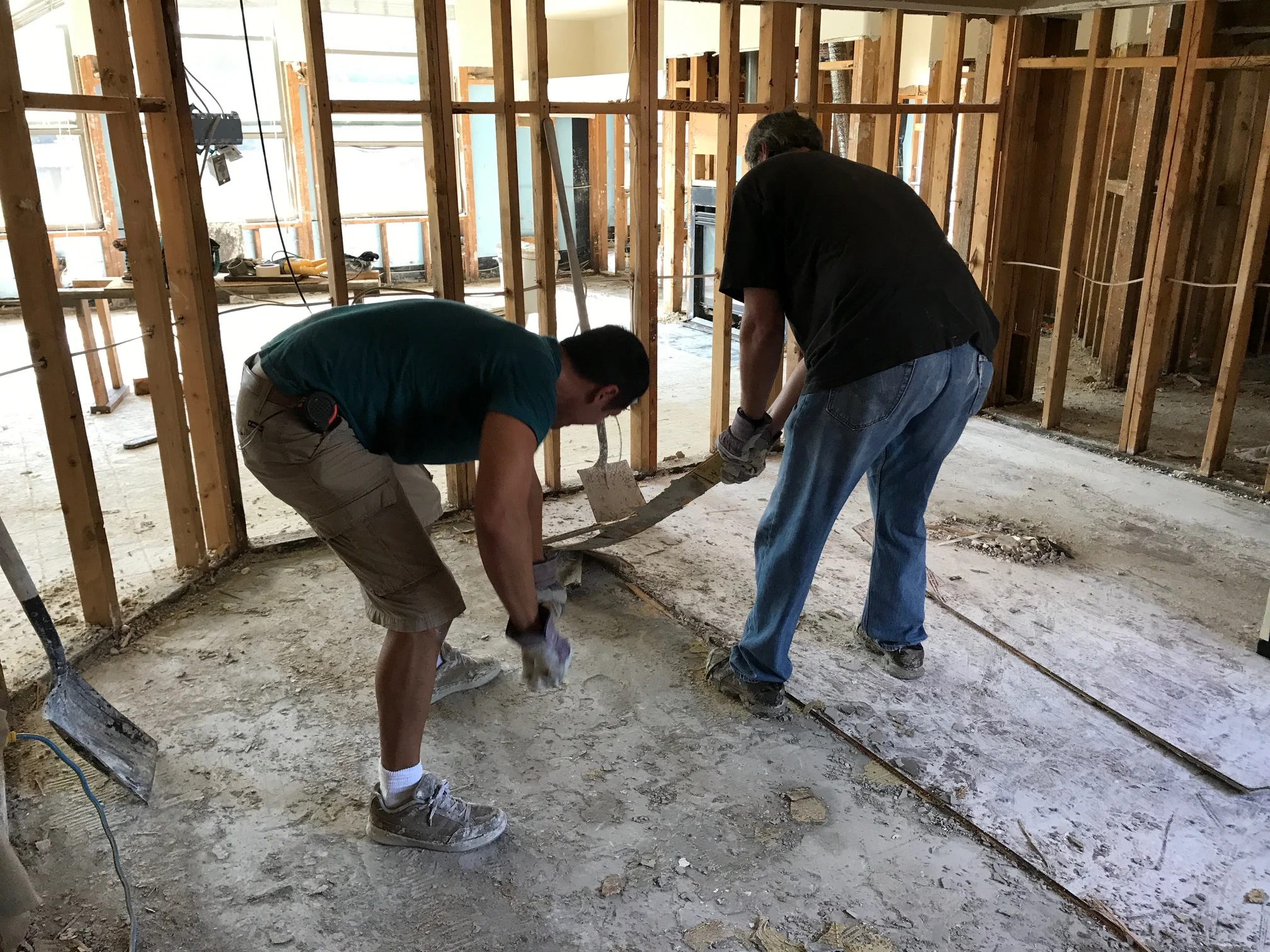 GuttingTheHouse.JPG