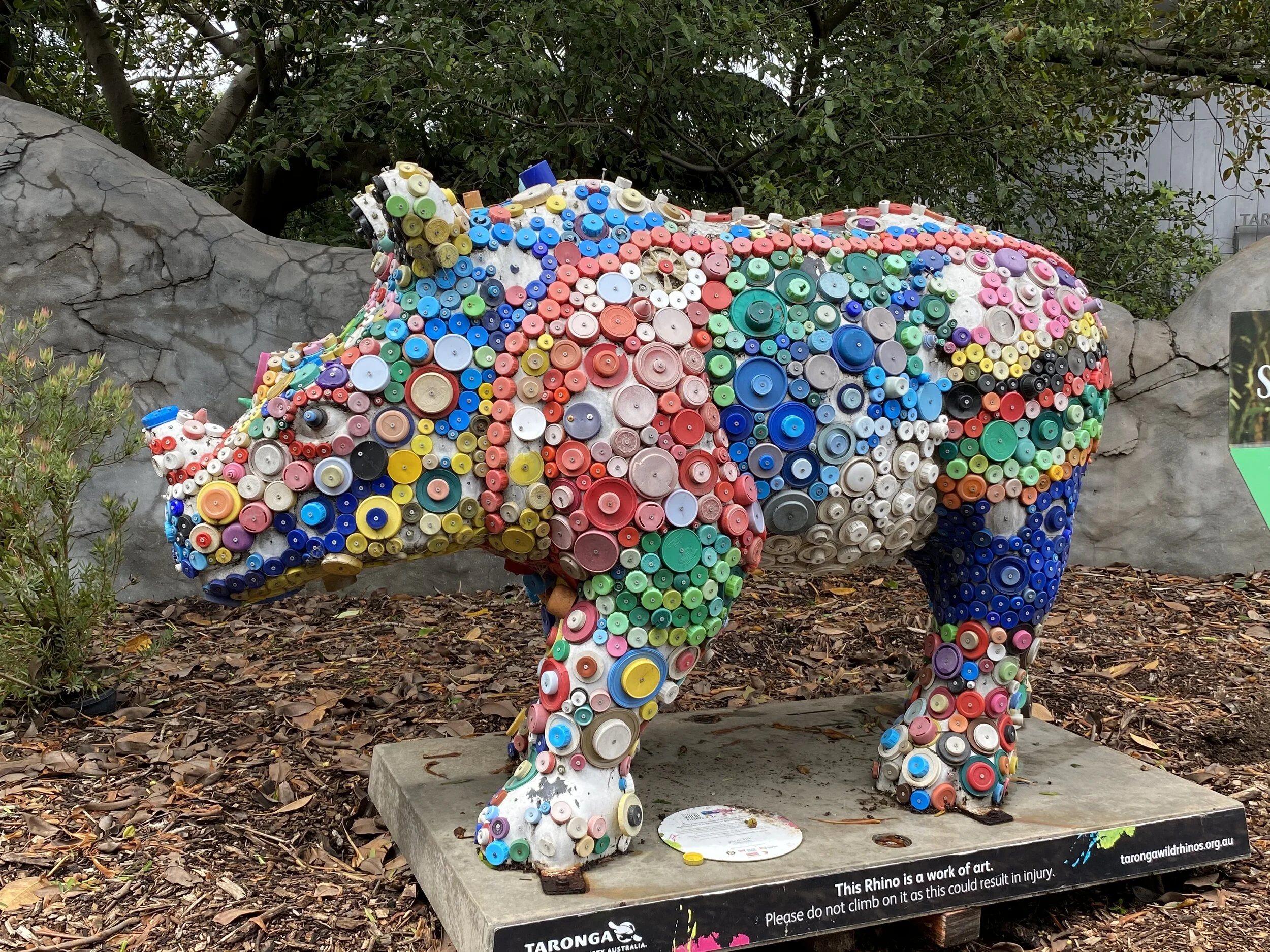 Sunny Day at the Taronga Zoo!