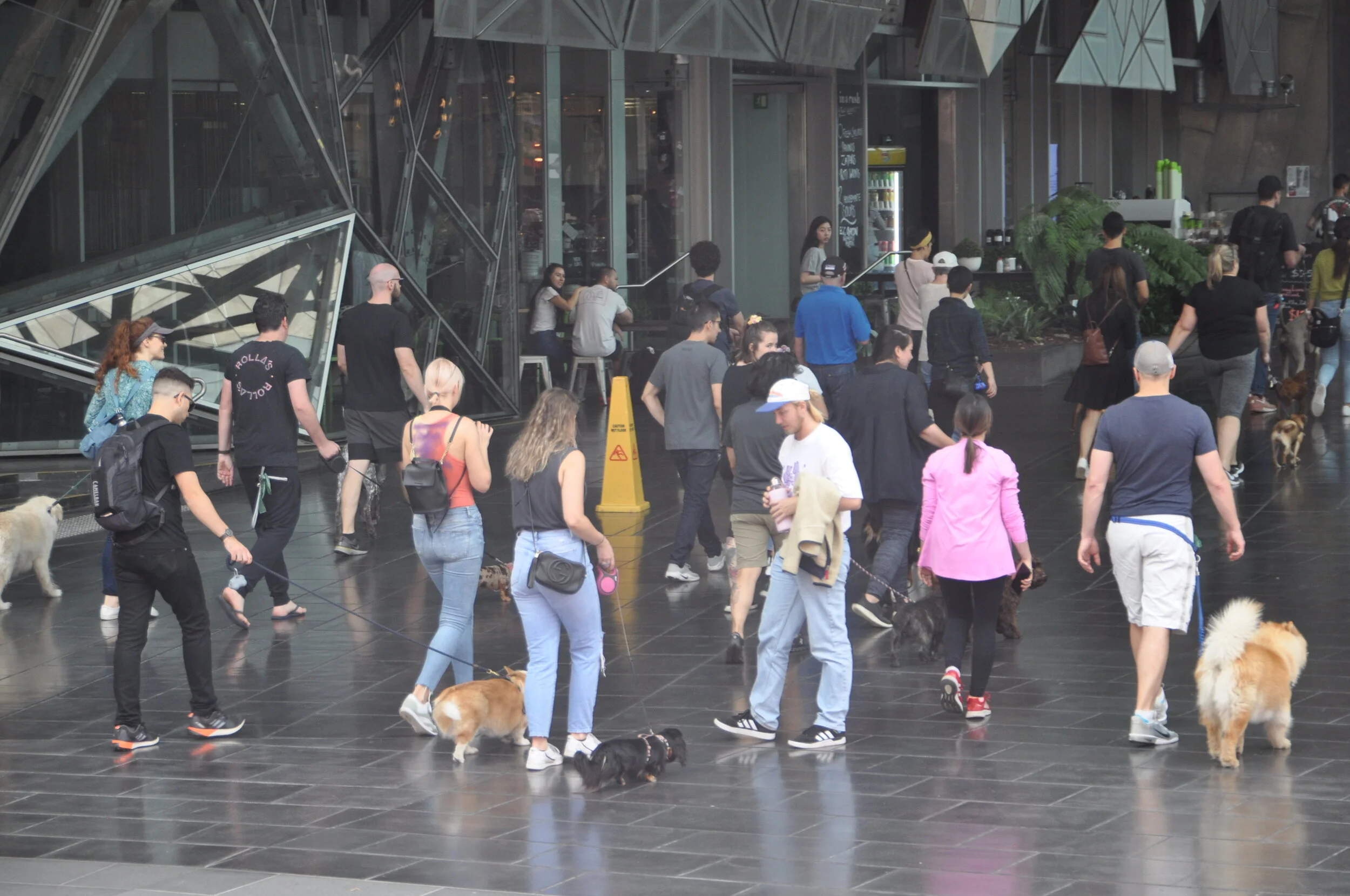 Let's Try This AGAIN! Melbourne, Australia