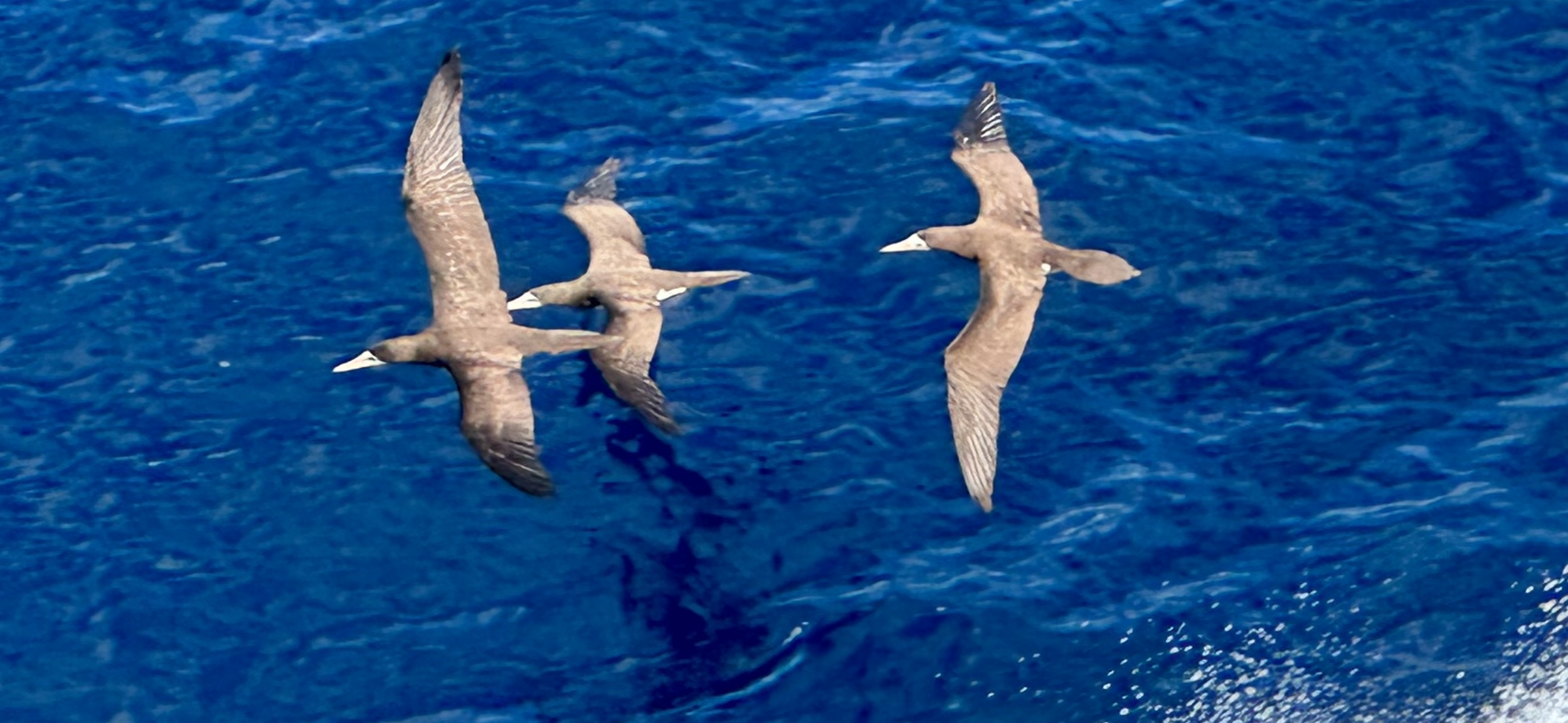 A Day in the Panama Canal
