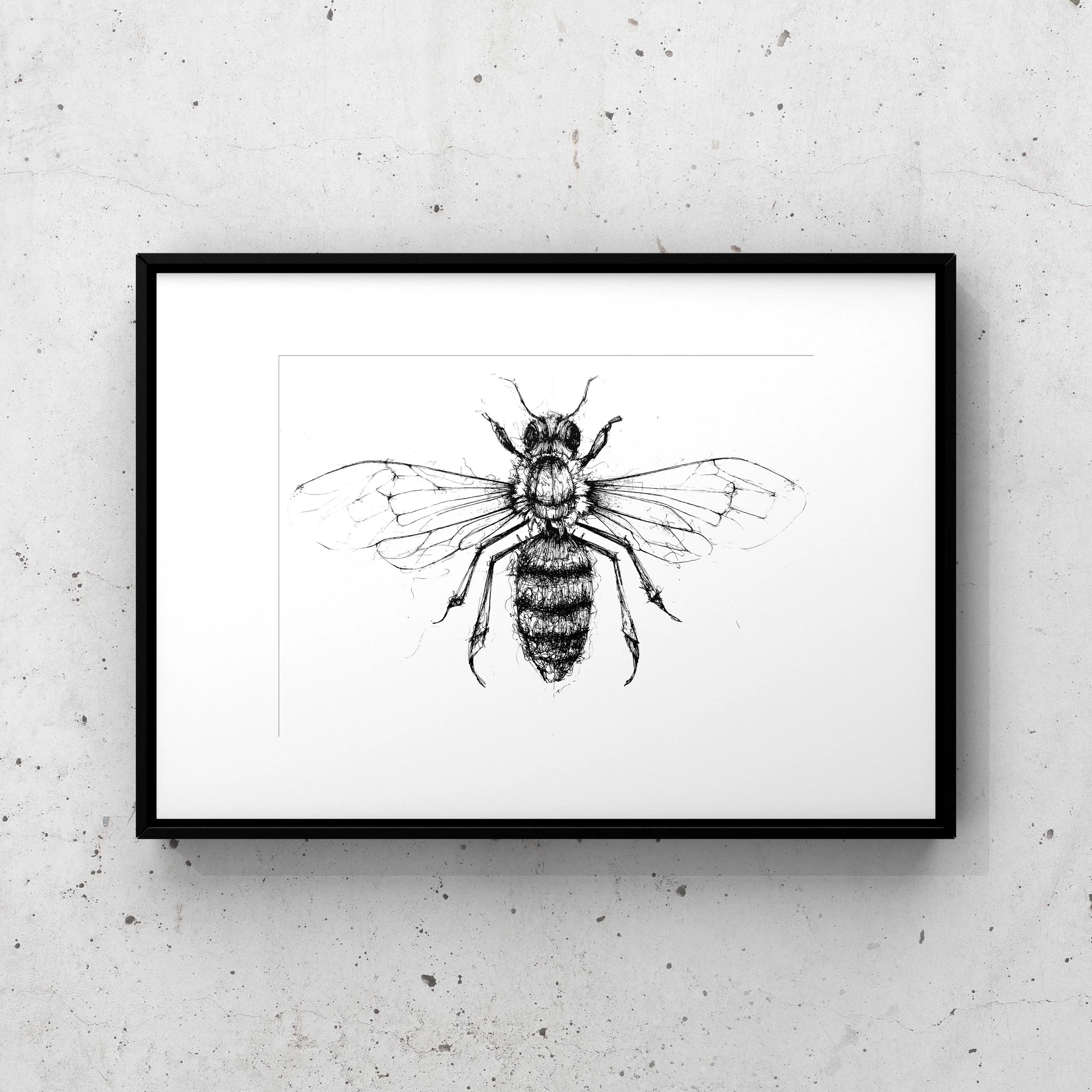 The Bee - Fine Art Print