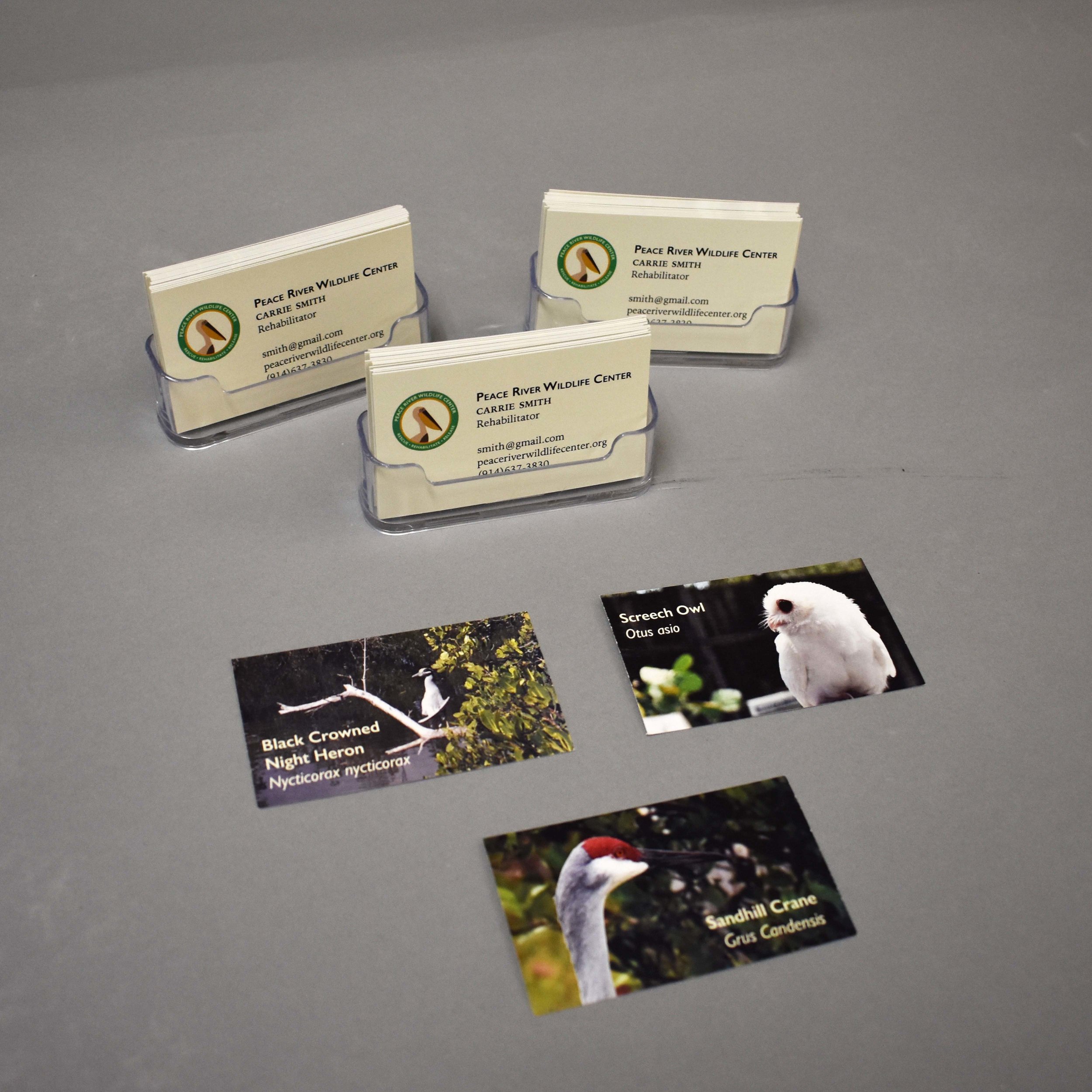 Buisness Cards.jpg