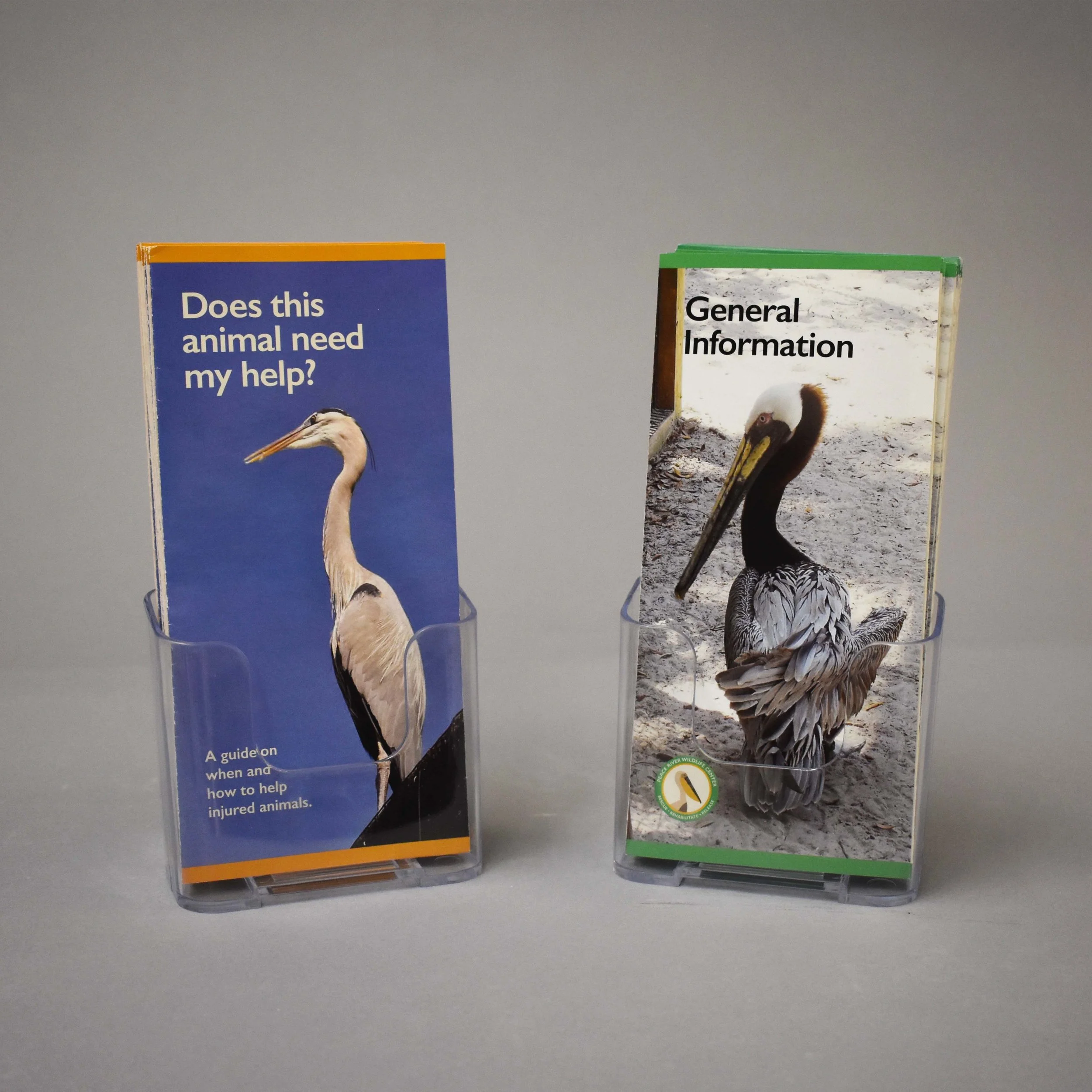 Pamphlets Fronts.jpg