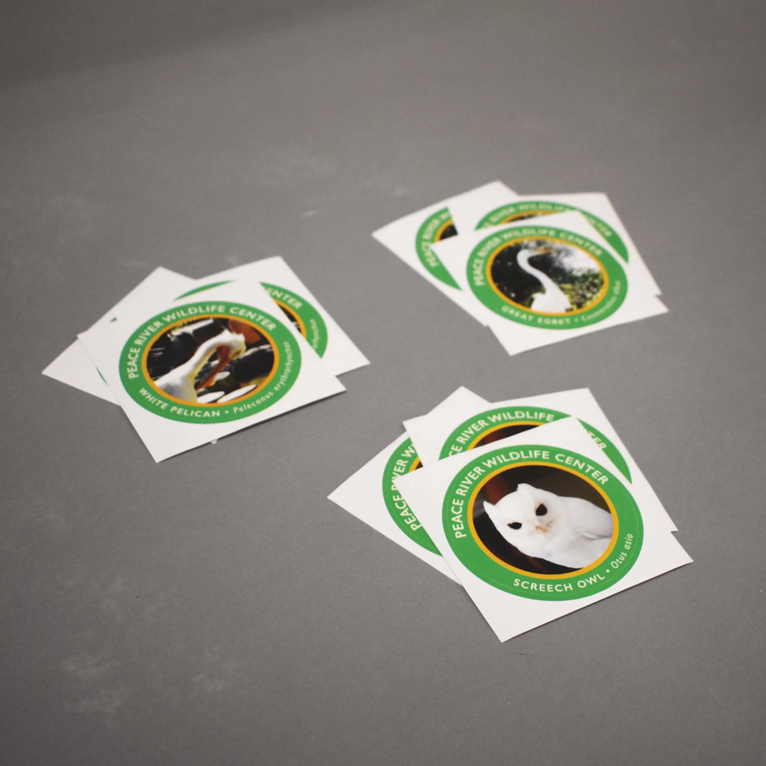 Stickers.jpg