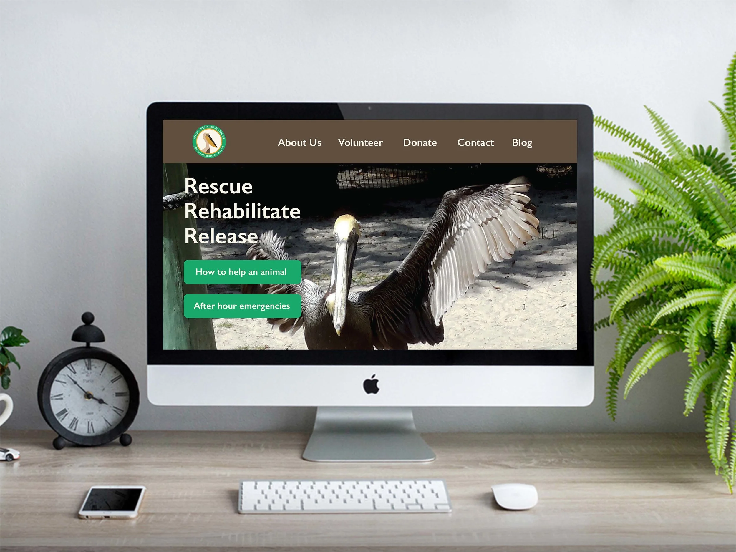 Website home pg 1.jpg