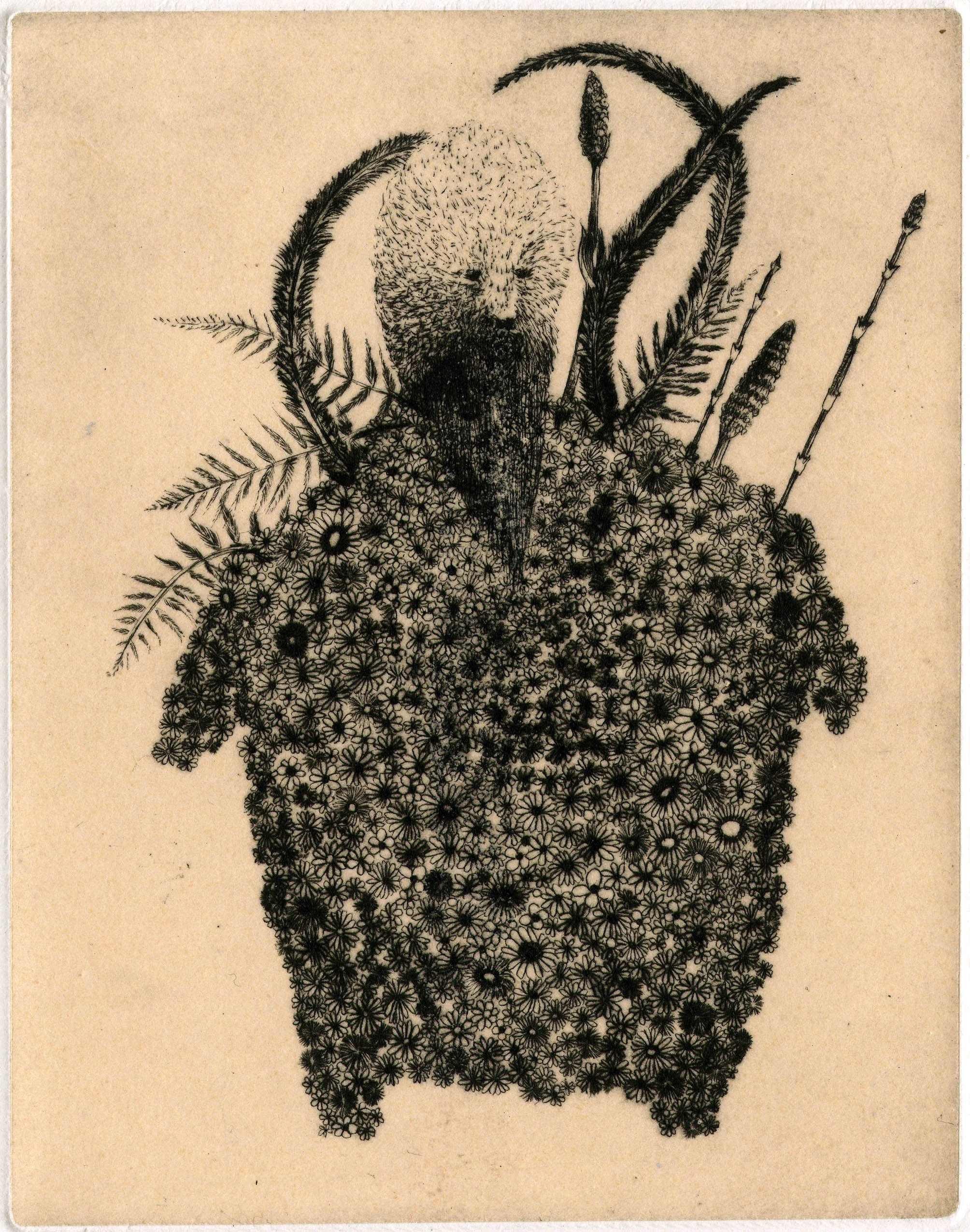 Momotxoro.jpg