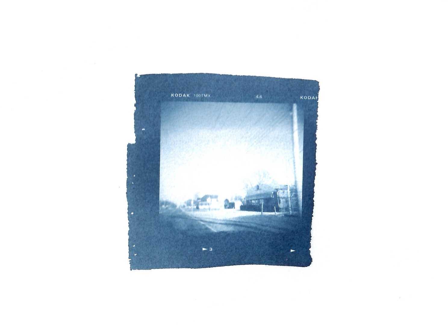  120 film cyanotype contact print . 