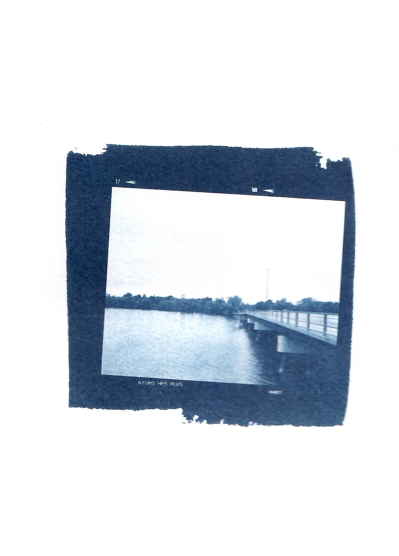  120 film cyanotype contact print . 