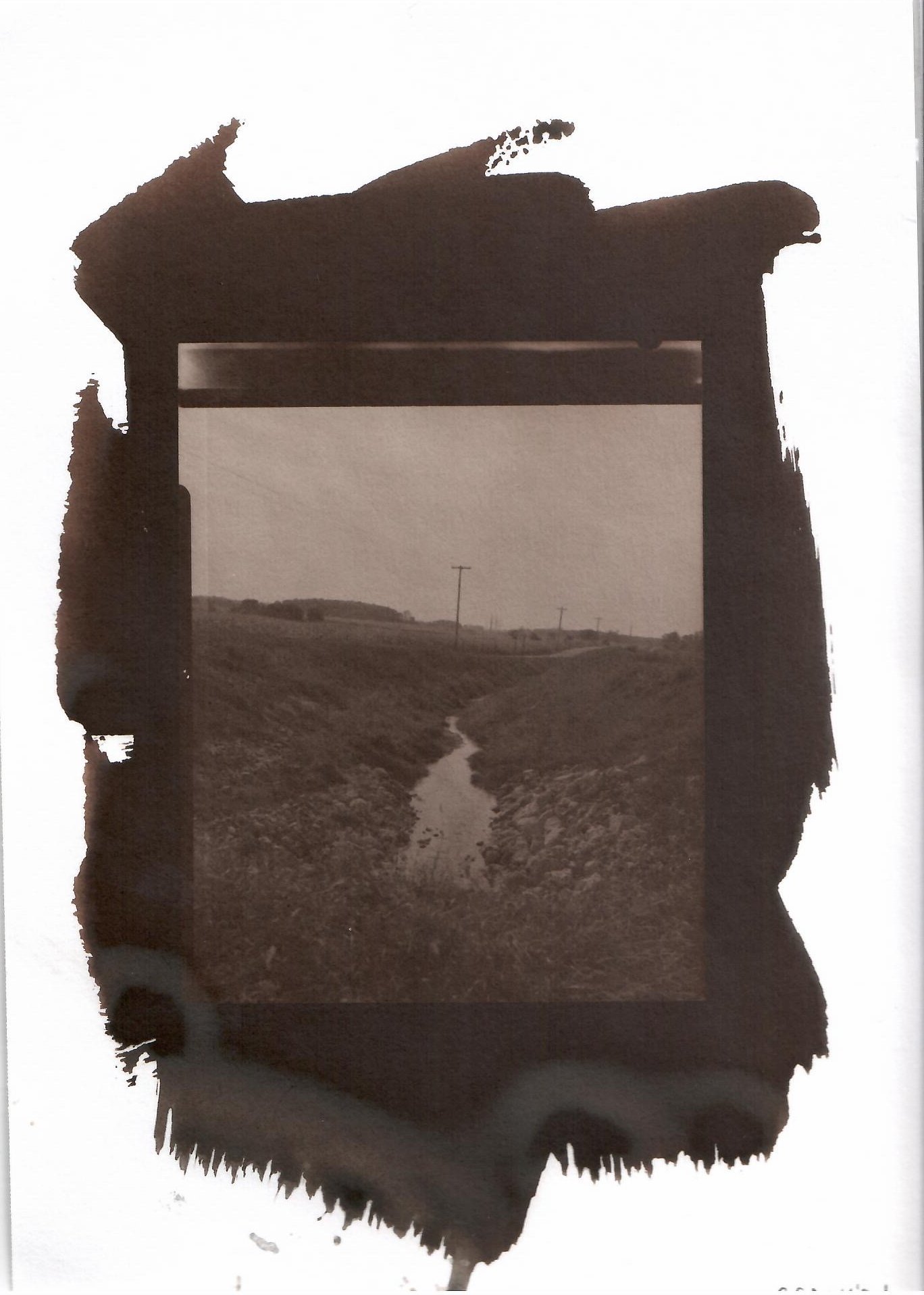  large format (4x5 inches) film van dyke brown contact print . 