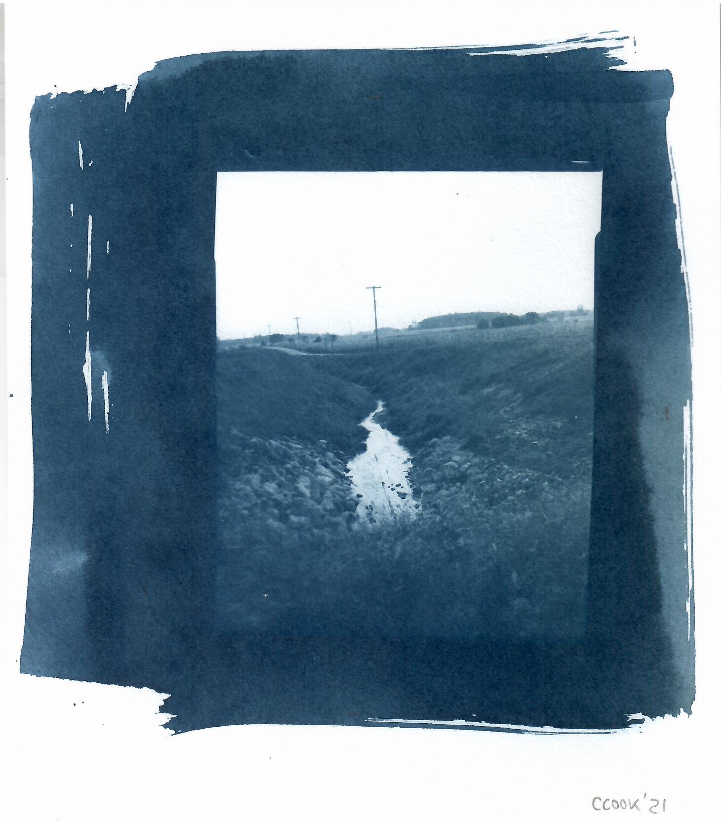  large format (4x5 inches) film cyanotype contact print . 