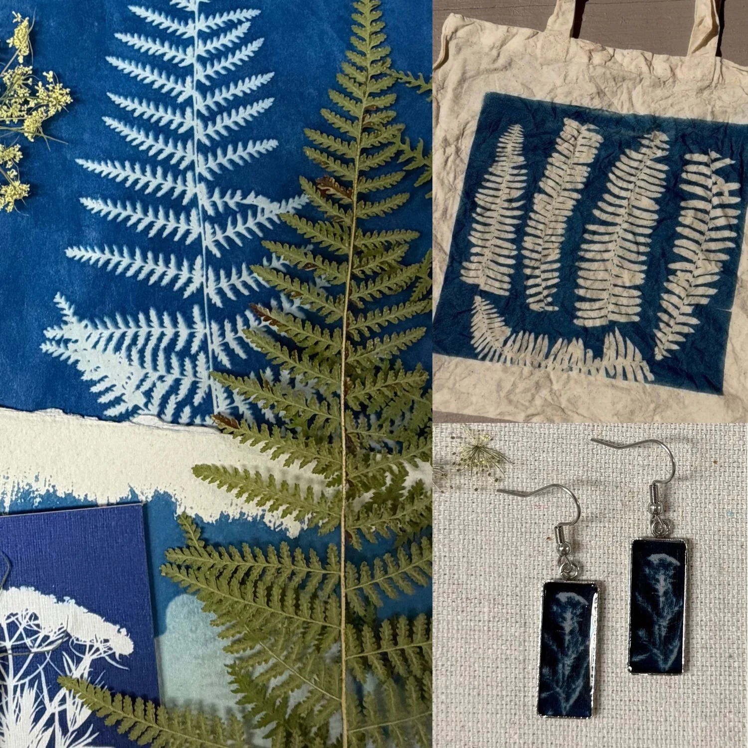 Cyanotype Workshop: The Art of Sun Printing (October 18th, 10-3pm)