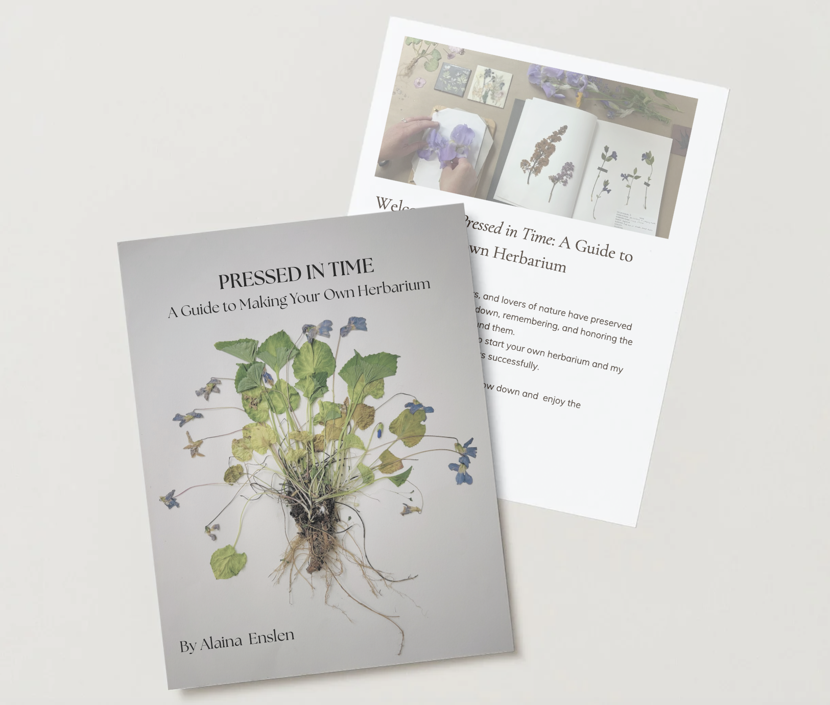 Pressed in Time Herbarium Guide snap shot.png