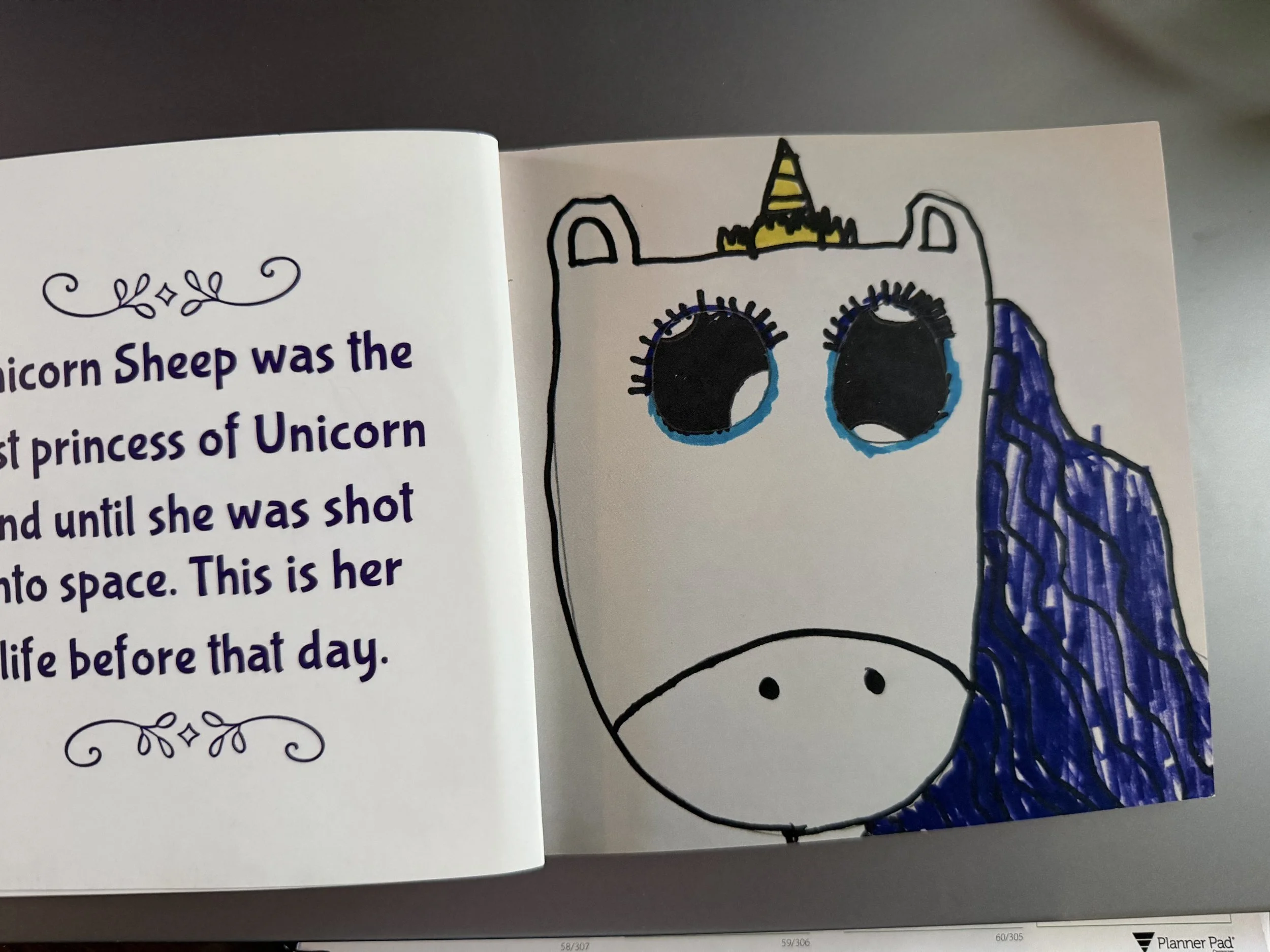 sample book 2.jpg