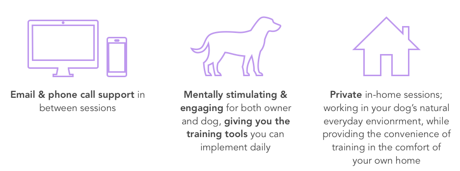 Screen Shot 2019-03-01 at 4.34.58 PM.png