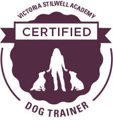 VSA-CDT Badge.png