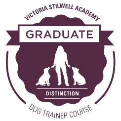 DTC_Distinction_Graduate_Badge.jpg