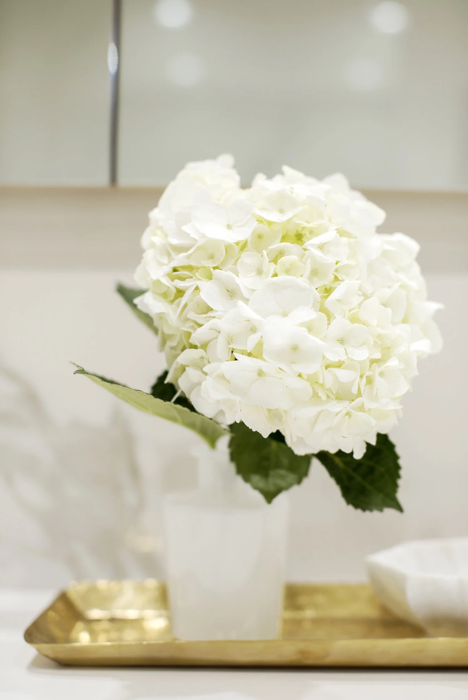 Point Grey Development - PC — Riesco & Company Interior Design