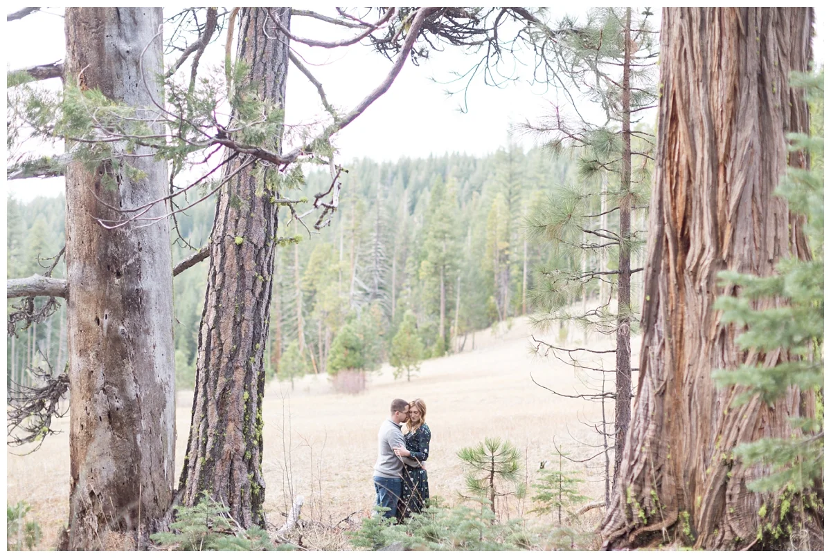 Butte-Meadows-Chico-California-Engagement-Photographer_7227.jpg