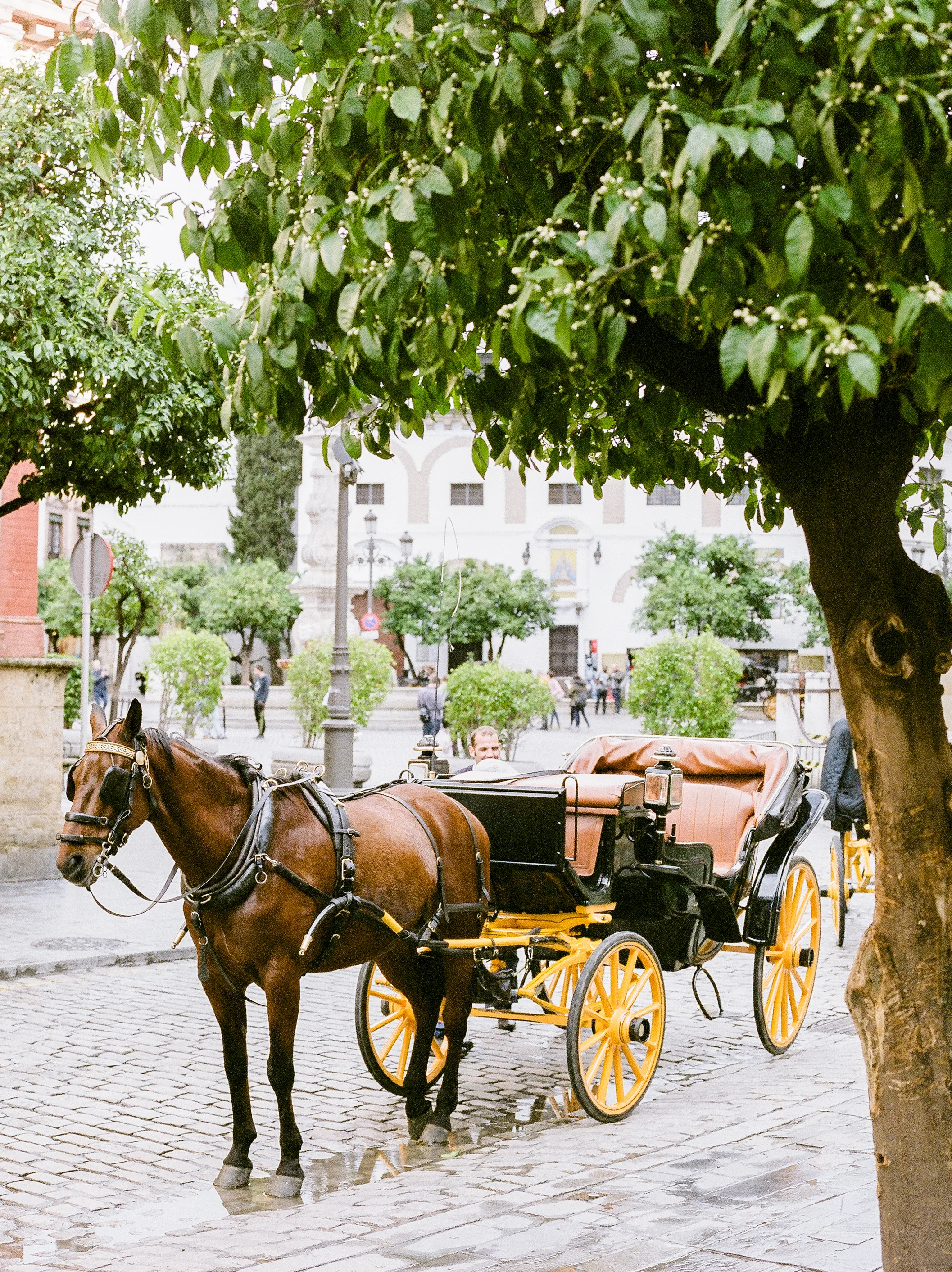 Destination-Europe-Travel-Film-Photographer-202.jpg