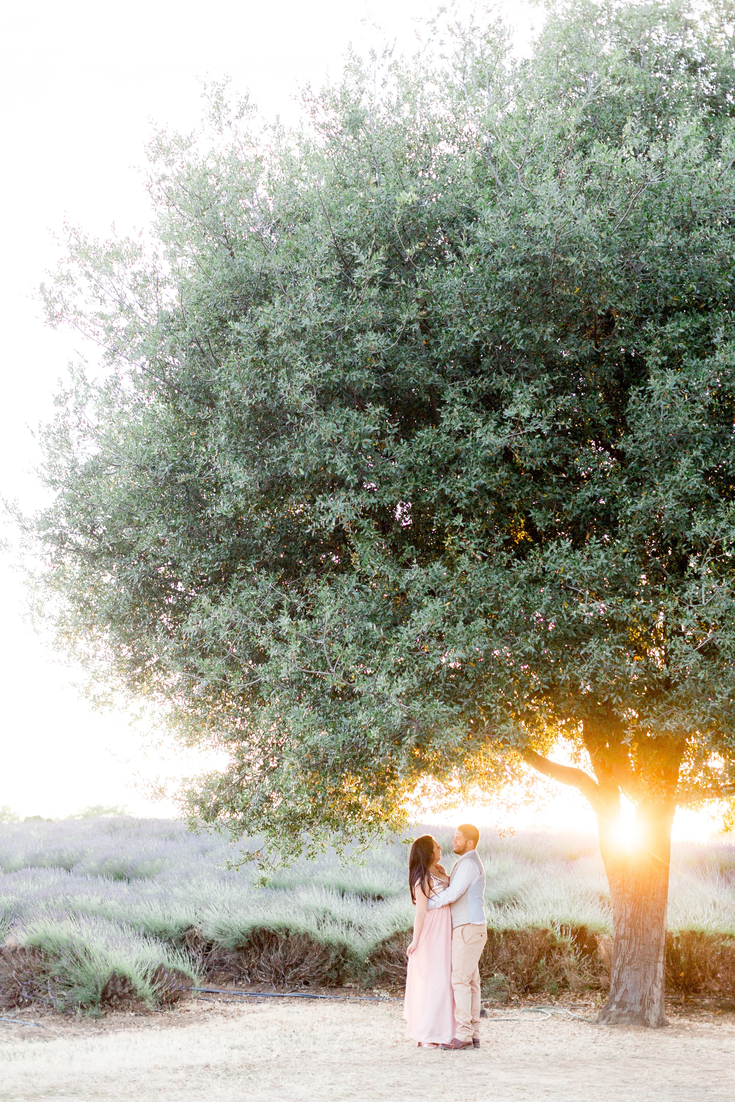 Bayliss Lavender Ranch Wedding The 10 Best Barn & Farm Wedding Venues