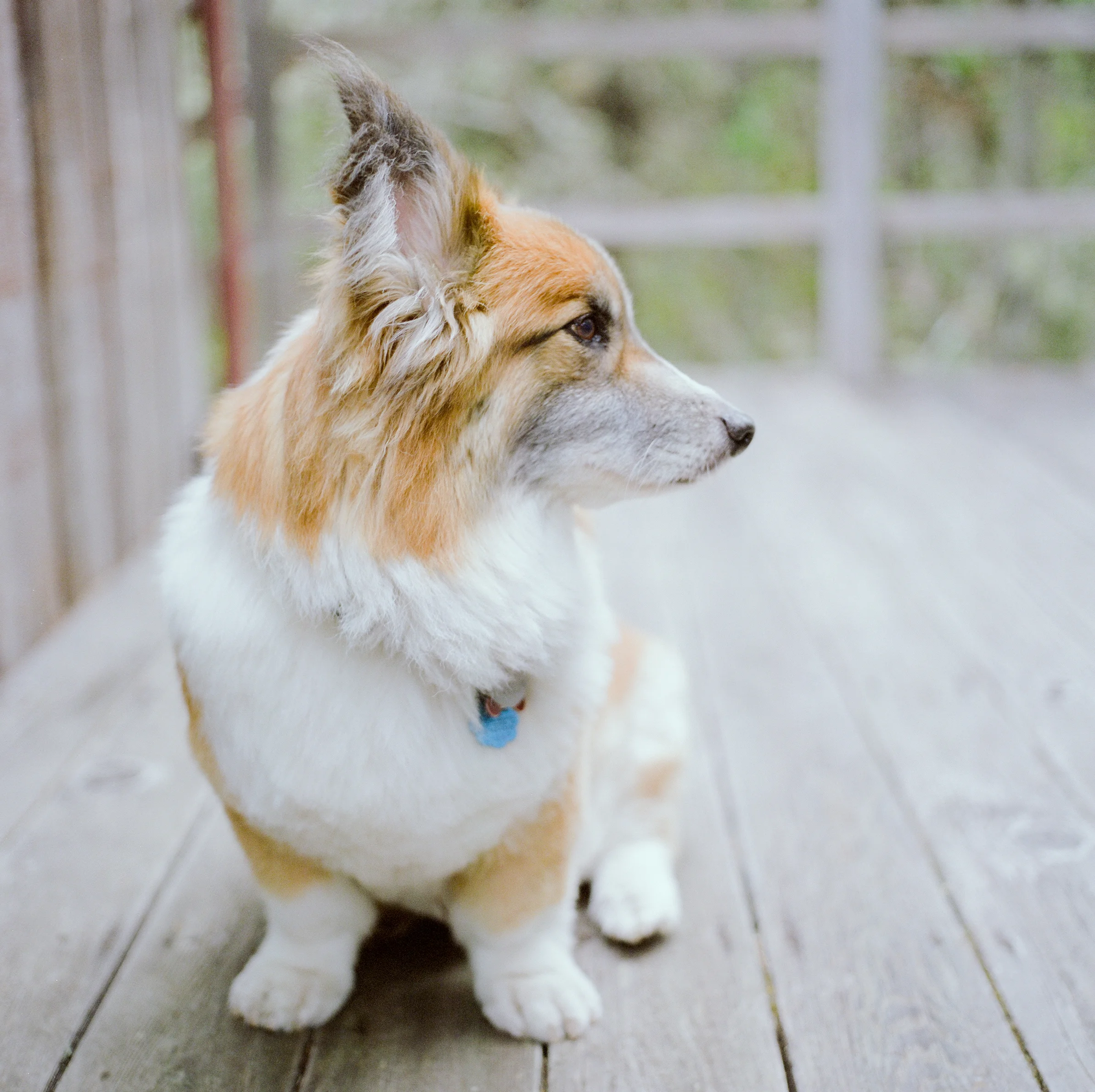 mendocino-lifestyle-photographer-7.jpg