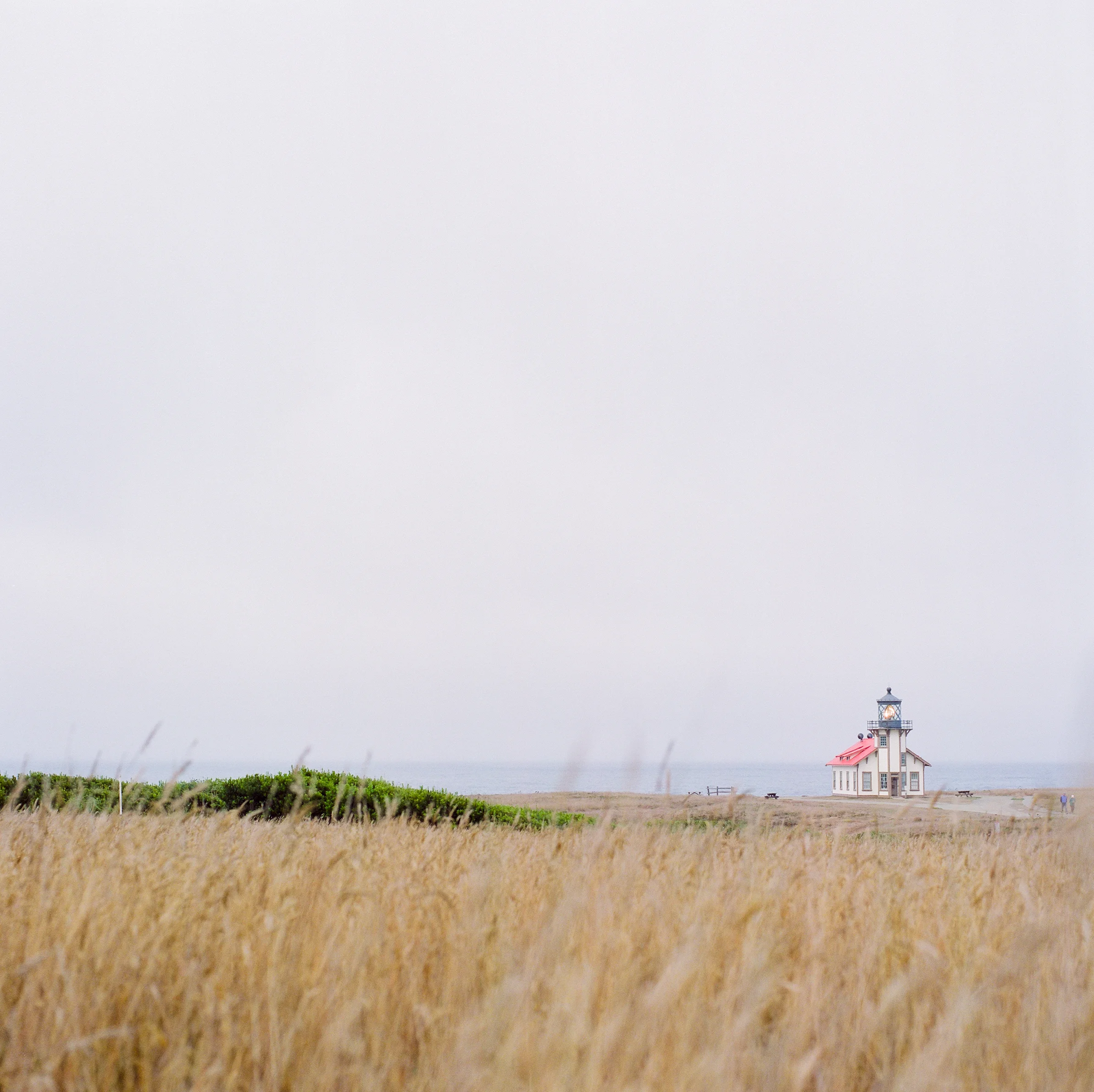 point-cabrillo-lighthouse-film-photographer-9.jpg