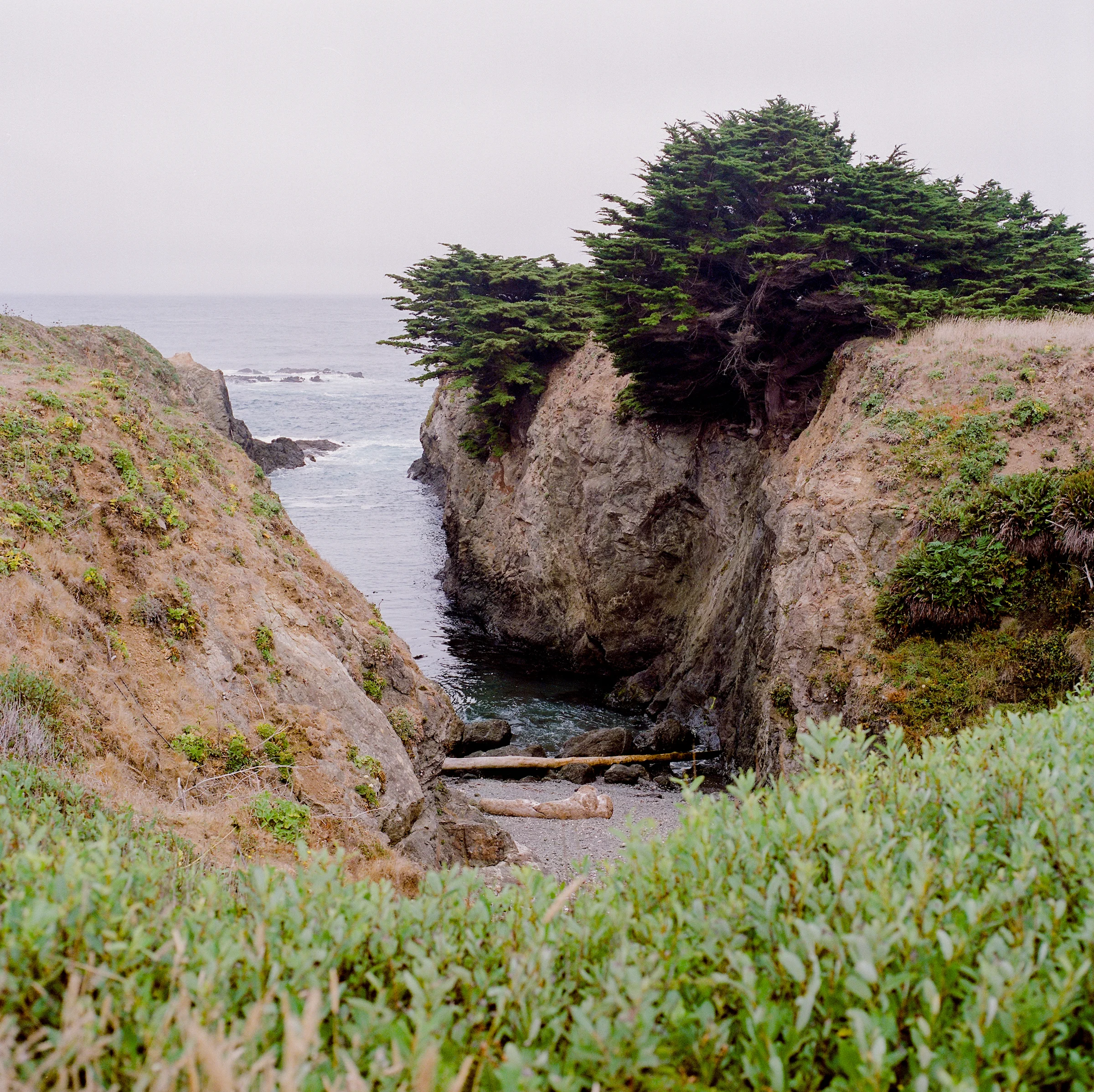 destination-mendocino-wedding-photographer-12.jpg