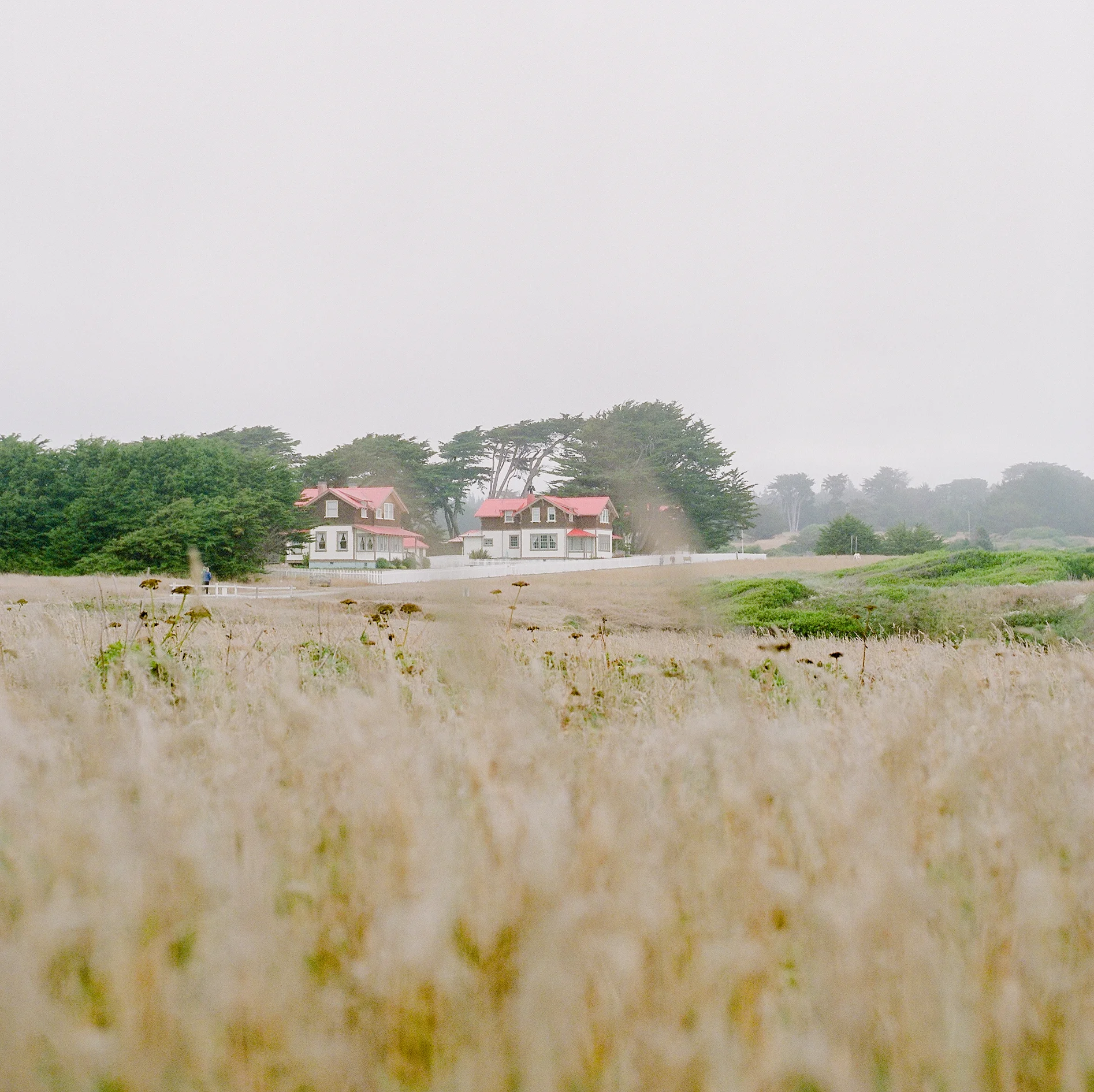 mendocino-lifestyle-photographer-37.jpg