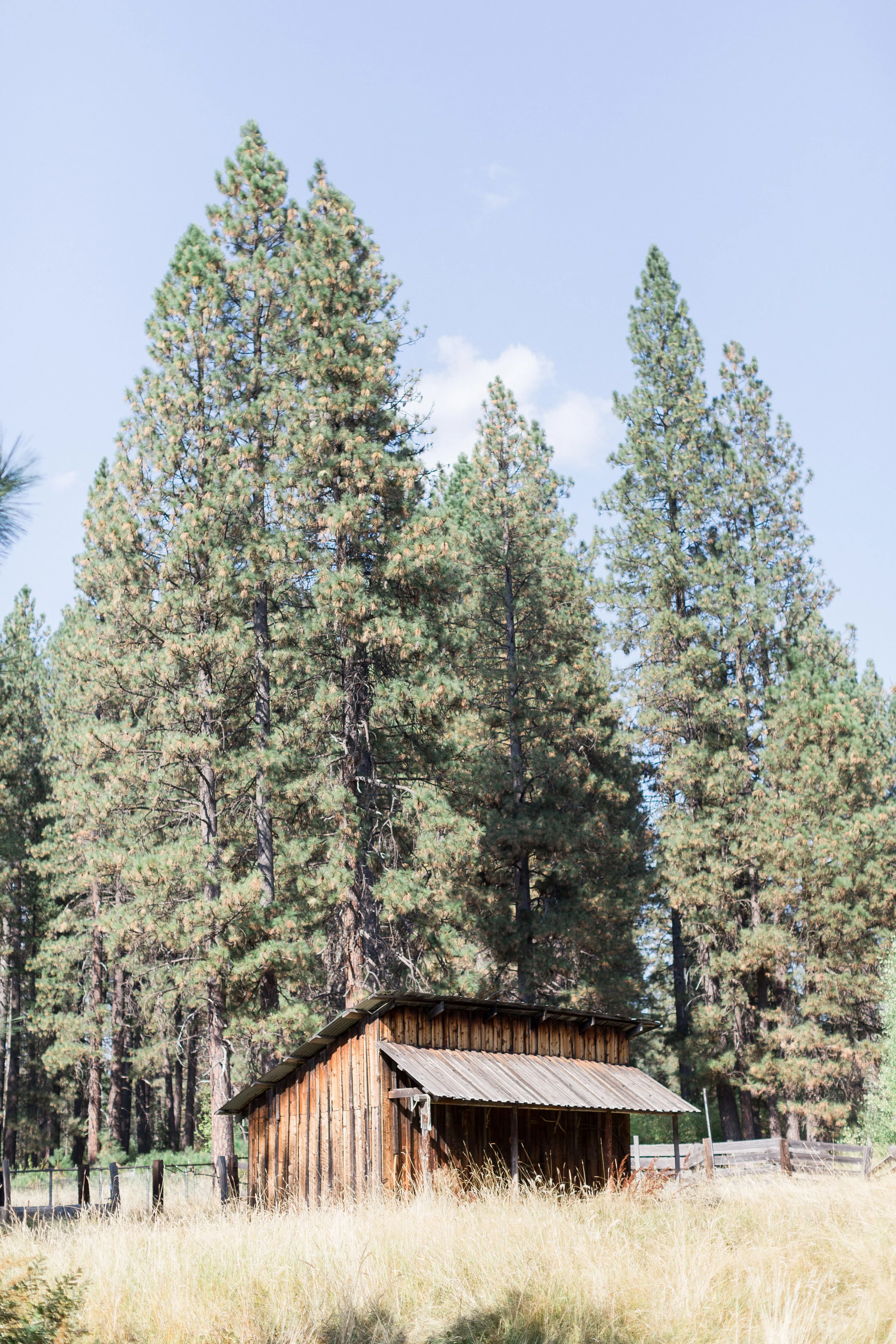 McCloud-California-Wedding-Photos (113 of 303).jpg
