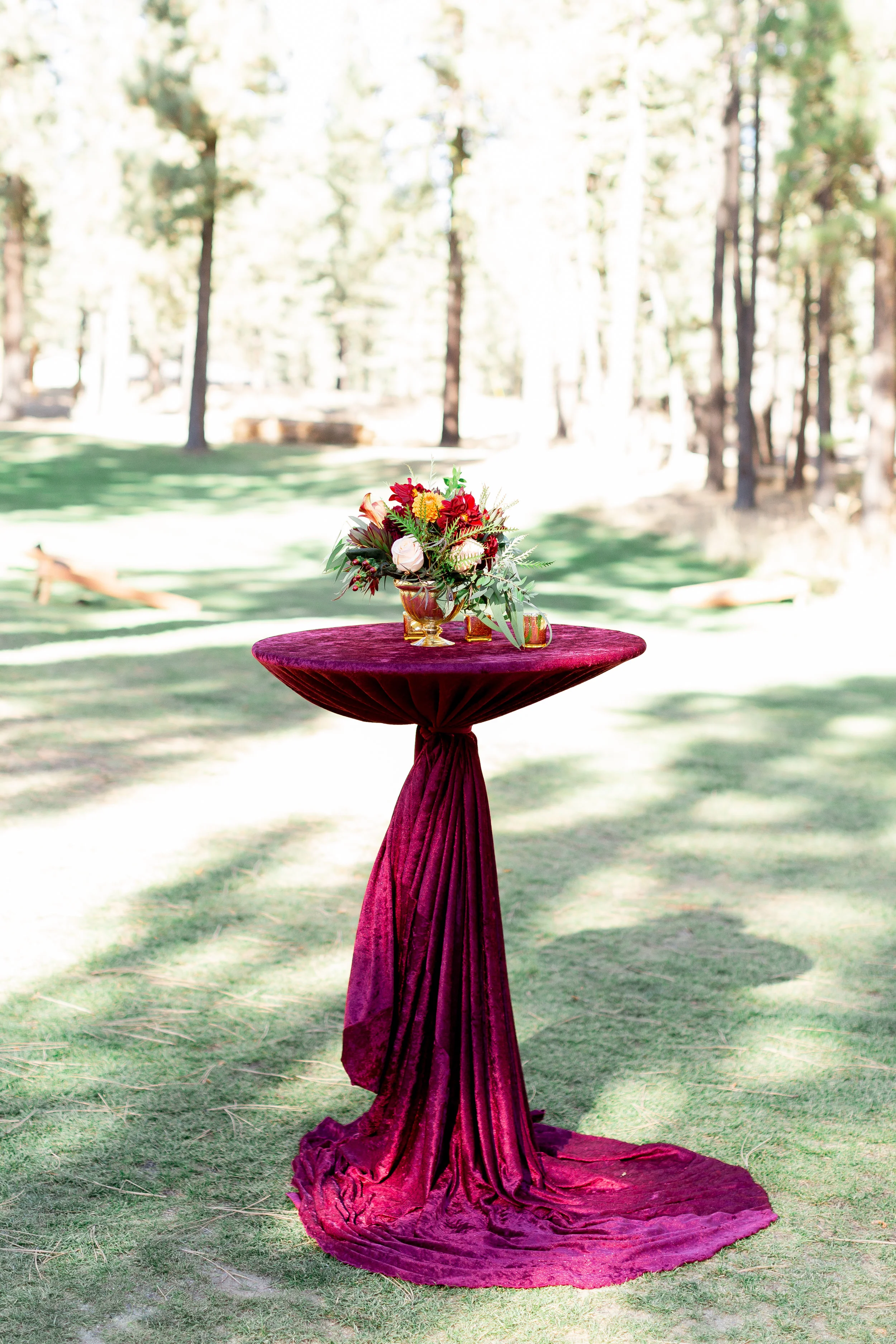 chalet-view-lodge-wedding-venue-northern-california-photographer-502.jpg