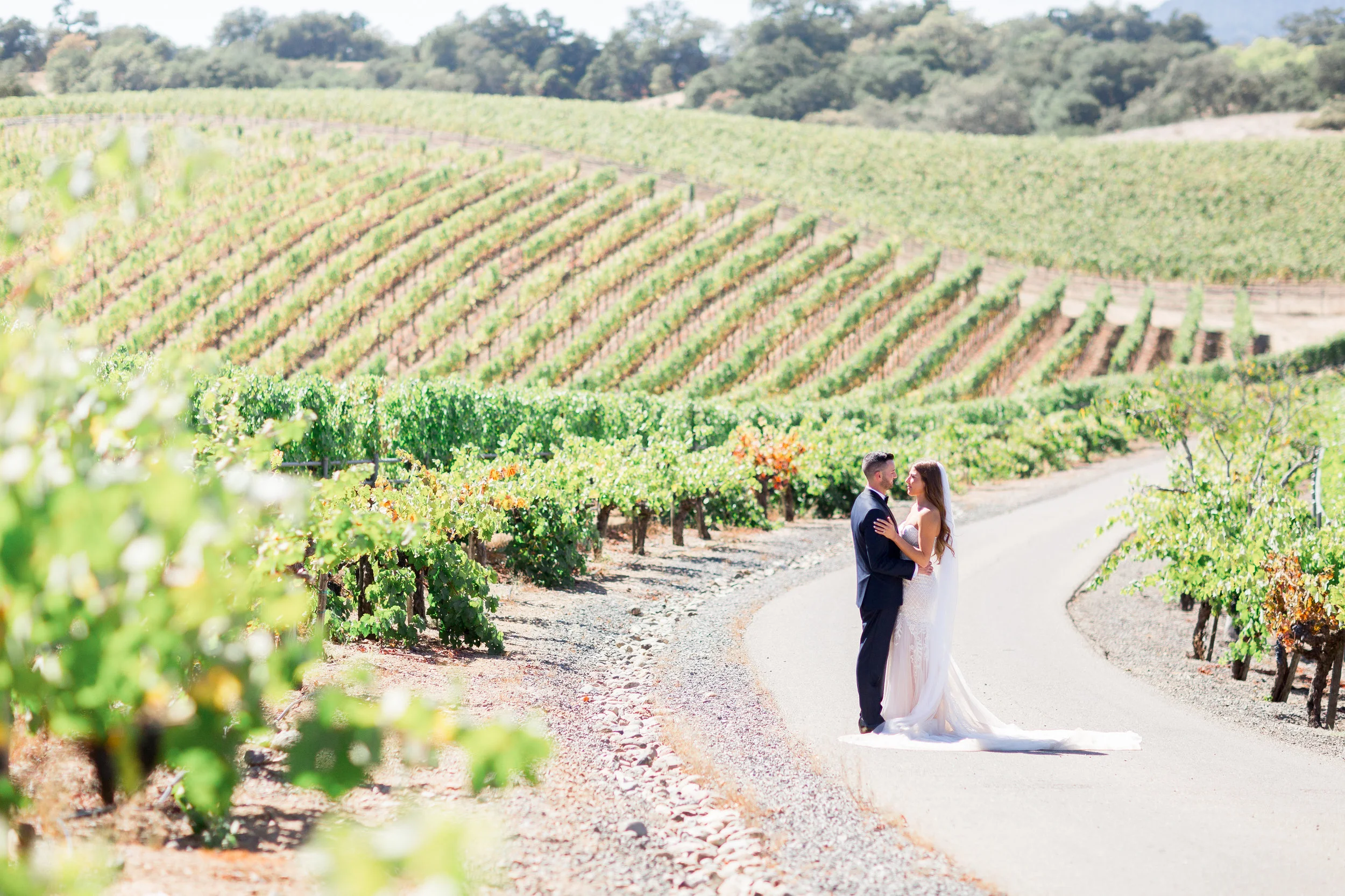 bride-groom-sunset-photos-in-vineyards-Healdsburg-destination-photographer.jpg