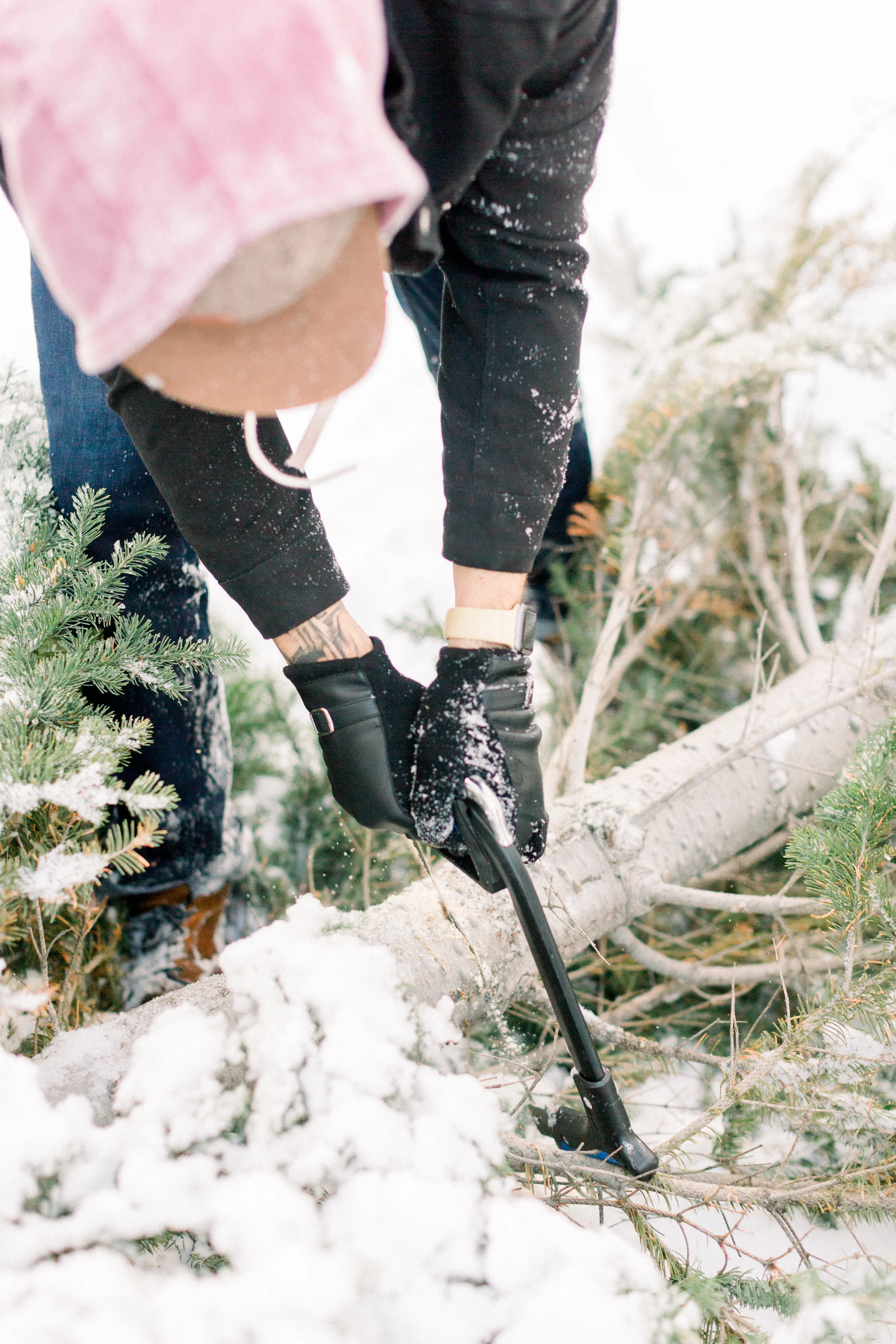 129Butte-Meadows-Christmas-Tree-Adventure (29 of).jpg
