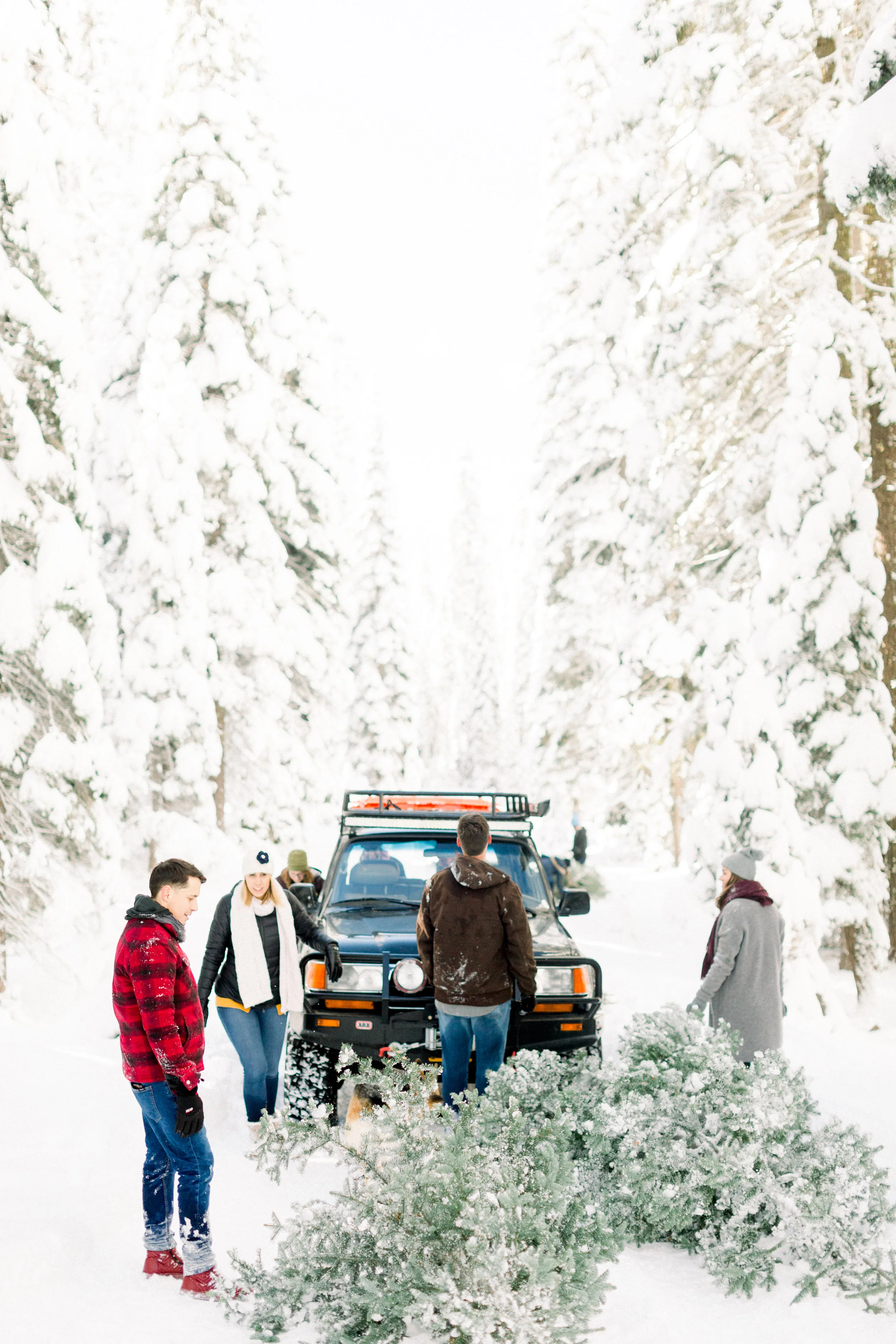 129Butte-Meadows-Christmas-Tree-Adventure (40 of).jpg