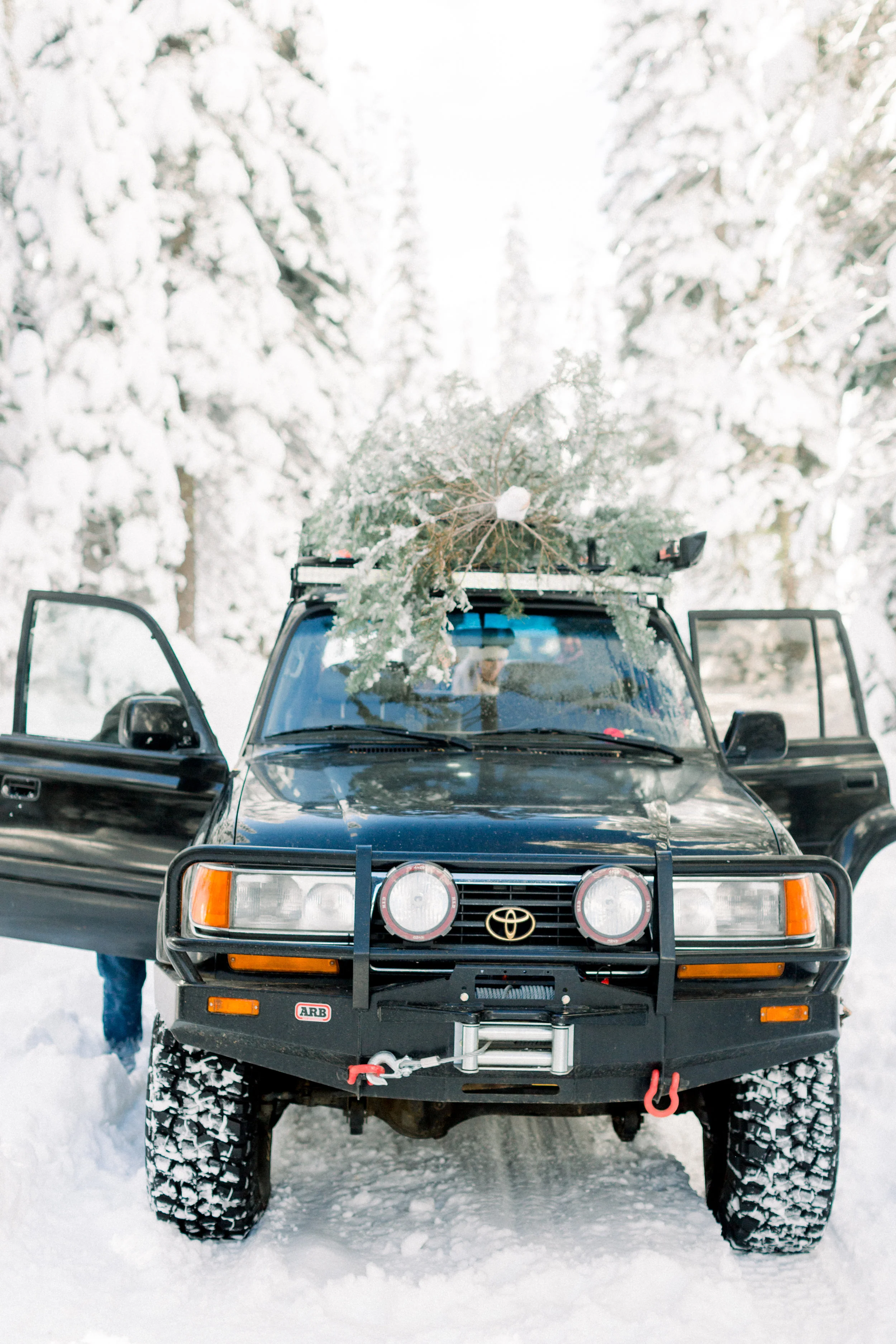 129Butte-Meadows-Christmas-Tree-Adventure (60 of).jpg