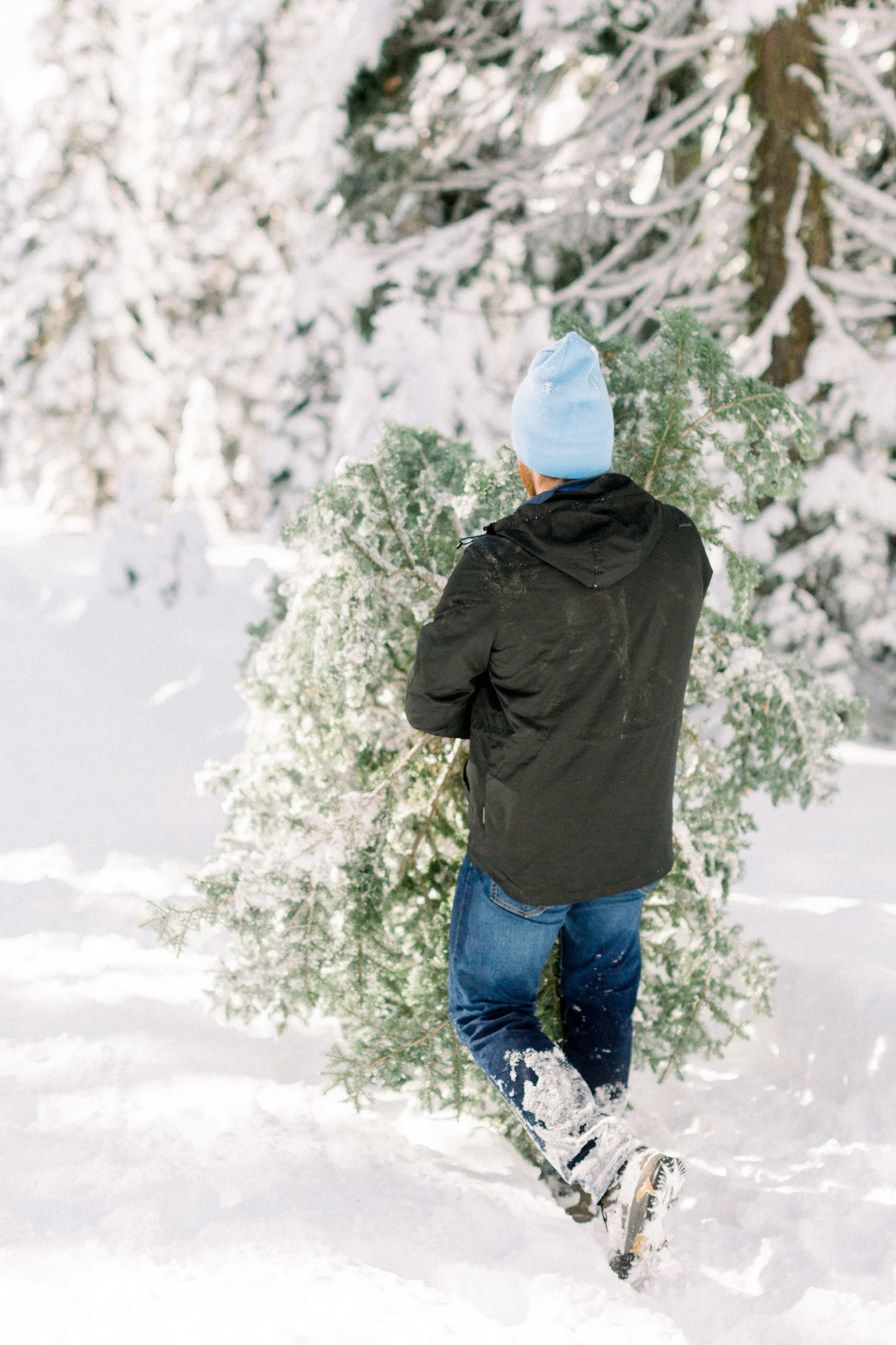 129Butte-Meadows-Christmas-Tree-Adventure (74 of).jpg