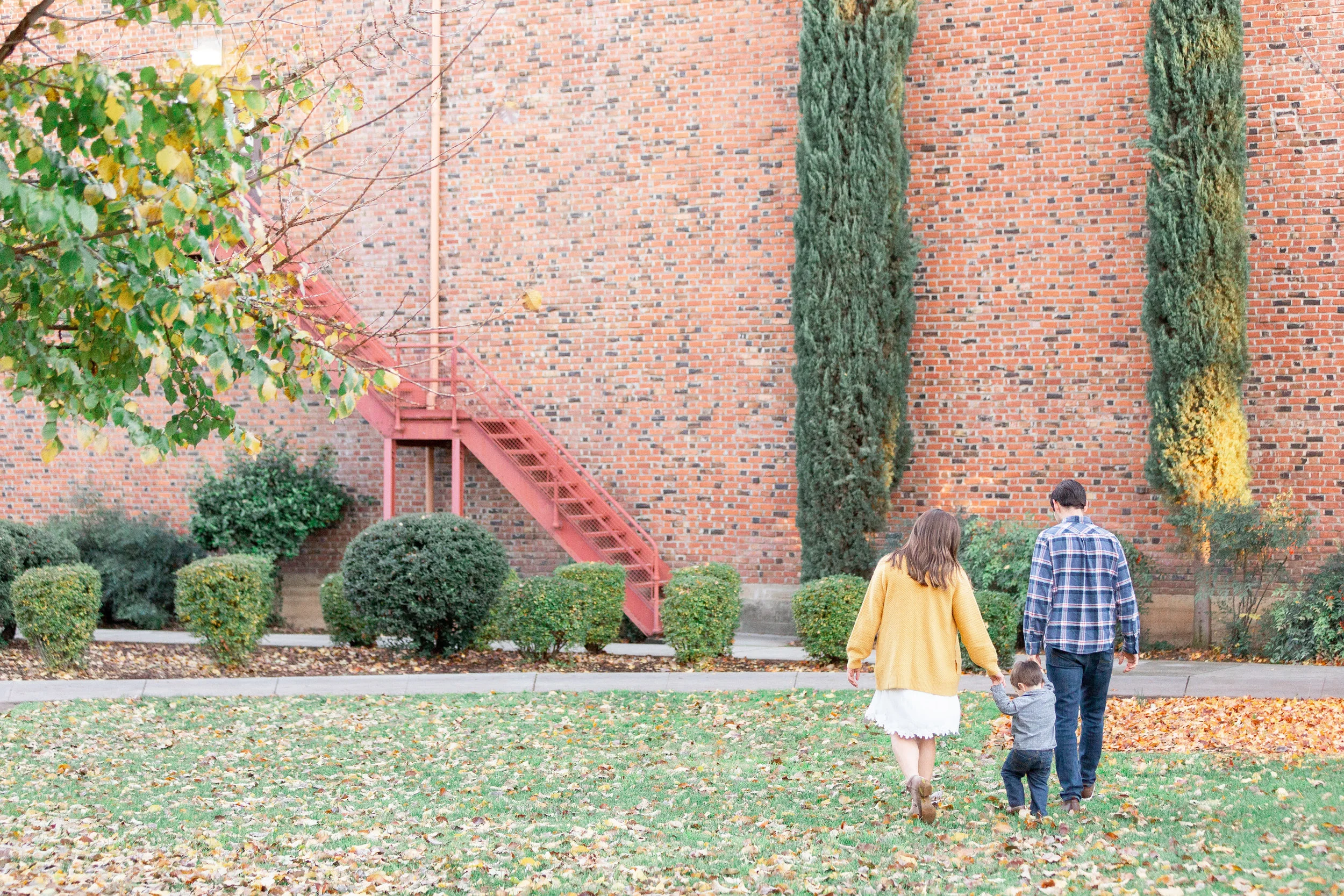 Chico State Fall Family Photos - Bryan Family Chico State Fall Family Photos - Bryan Family