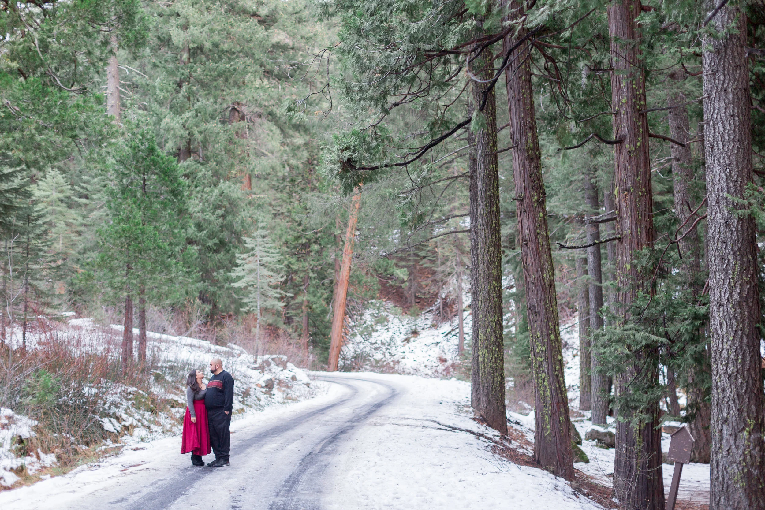 Northern-California-Mountain-Engagement-Photos-Chico-Photographer (123 of 142).jpg