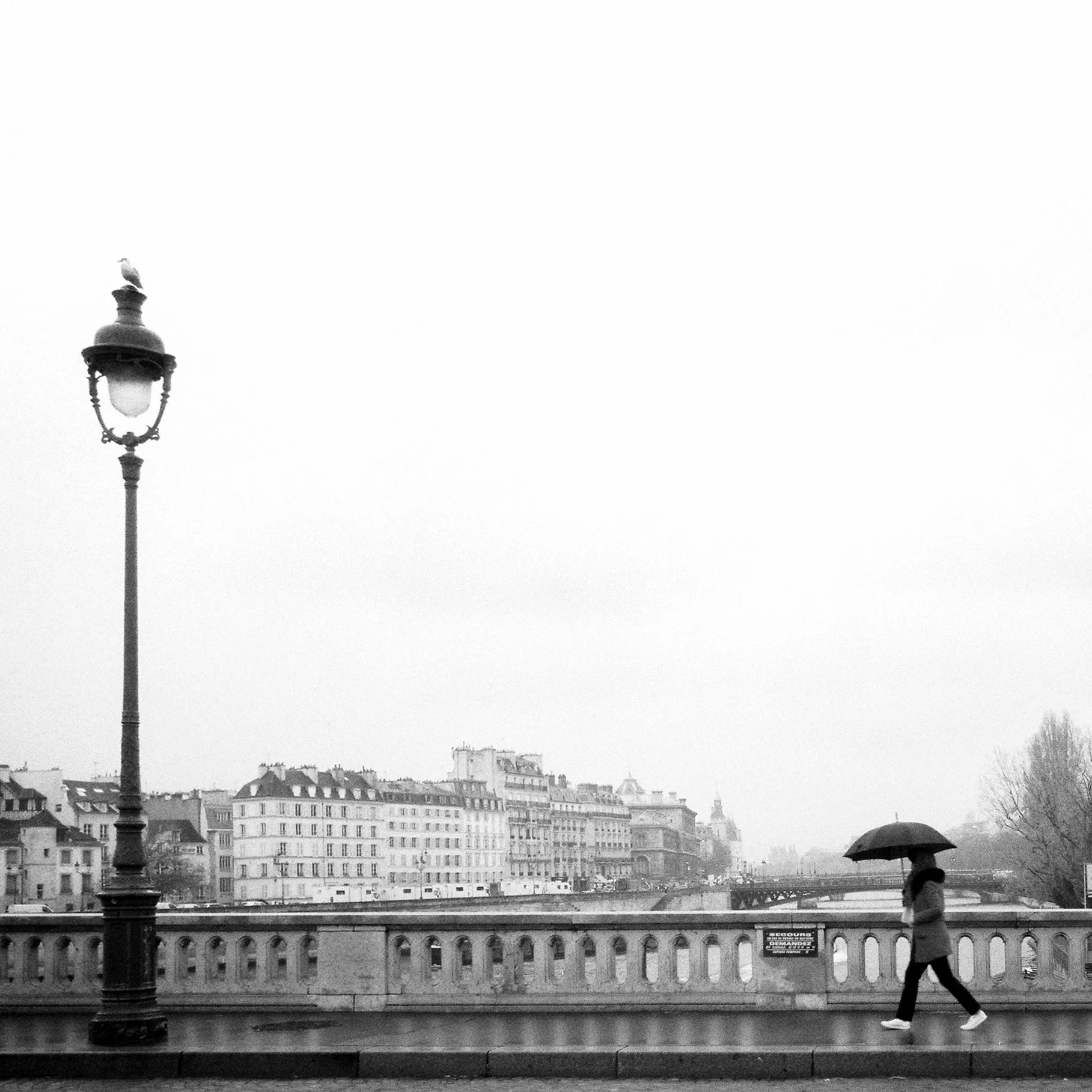 Paris Hasselblad B&W-0008.jpg