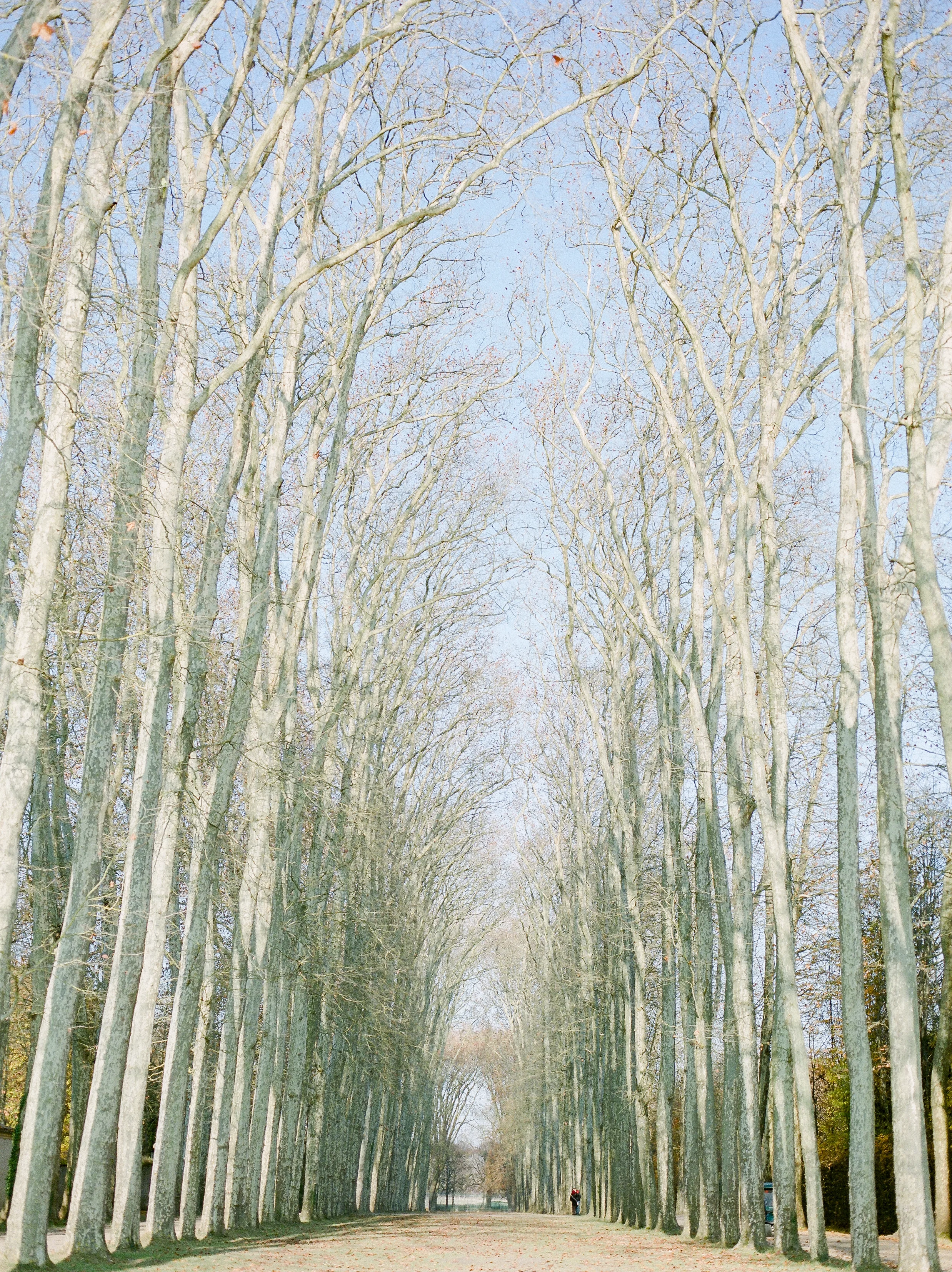 the-beautiful-grounds-in-palace-of-versailles-in-the-winter.jpg
