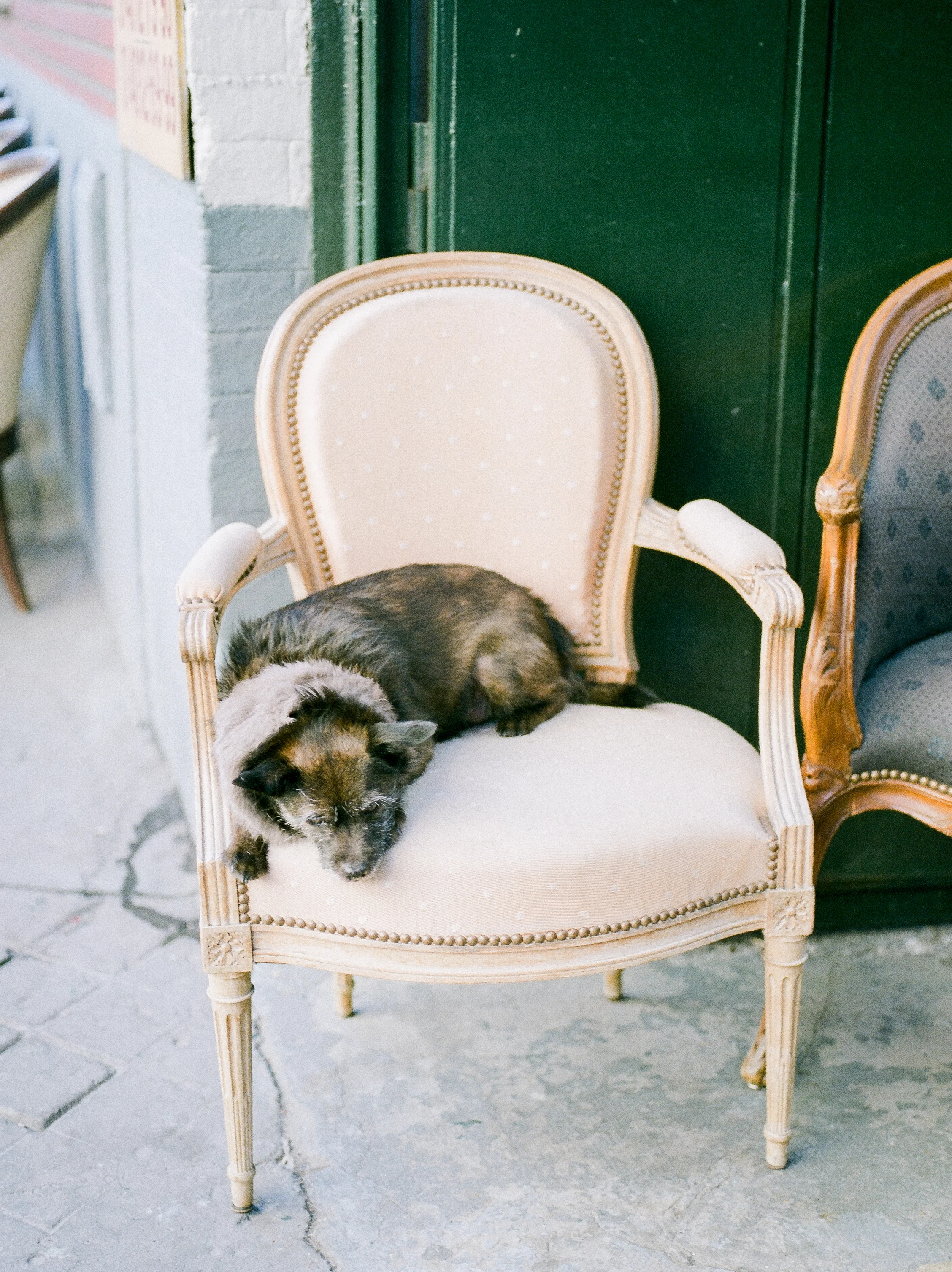 paris-lifestyle-travel-photographer-101.jpg