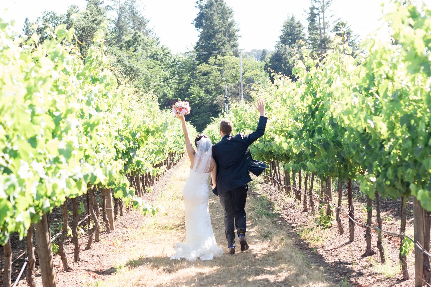 Glen-Ellen-Jack-London-State-Park-Wedding-Photos.jpg