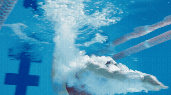 Adobe Express - arena clips.gif