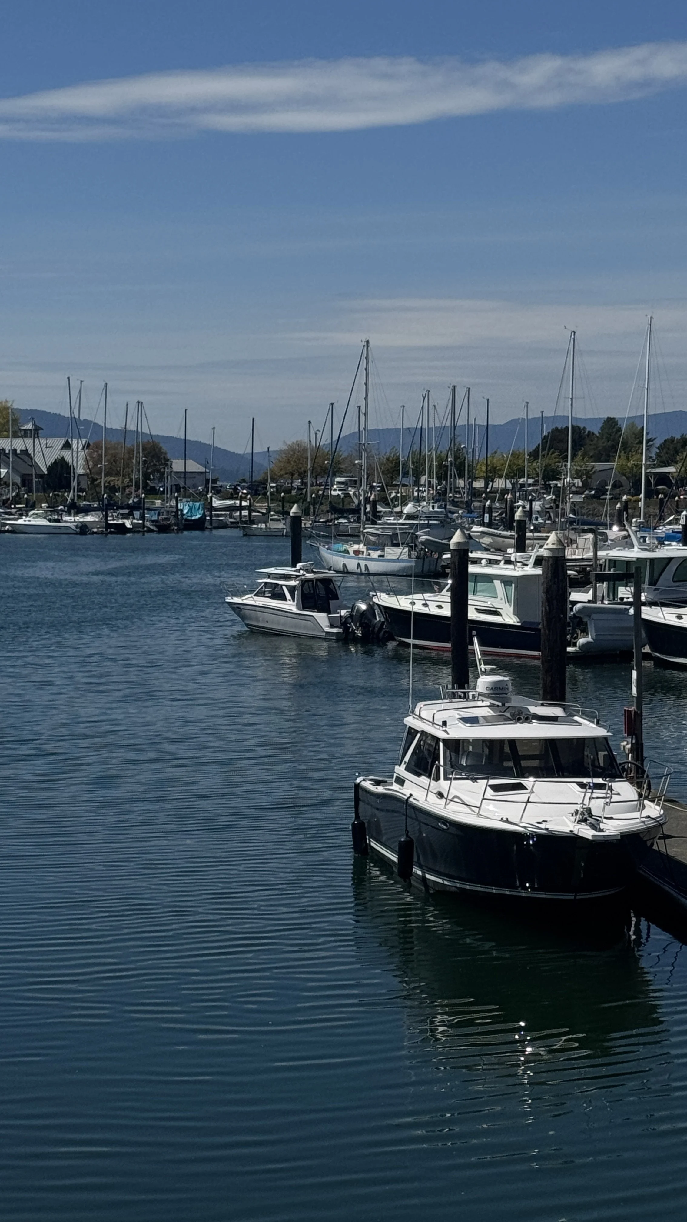 Cutwater 288 Bellingham to FR