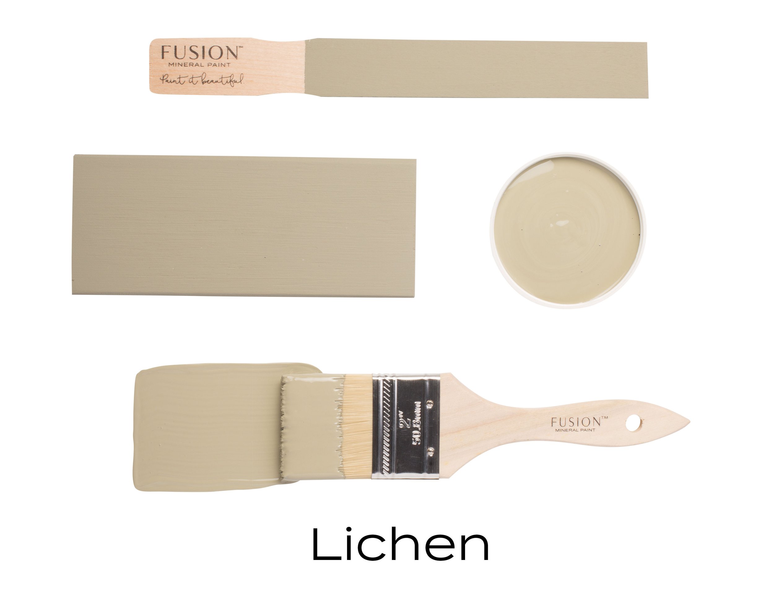 Lichen.jpg