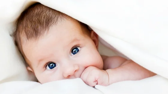 Comfort Cases Launches Partnership with Twice as Warm to Provide Blankets for Infants Entering Foster Care