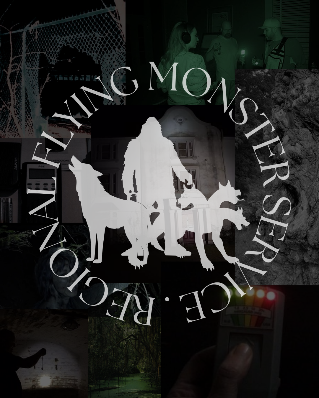 REGIONAL FLYING MONSTER SERVICE.png