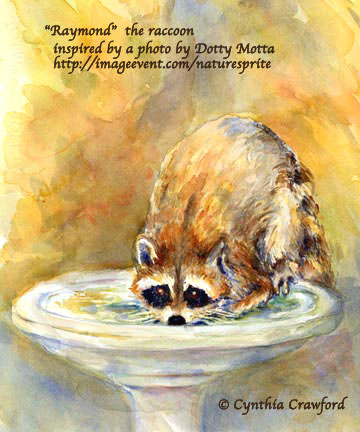 34106652.raccoonweb.jpg